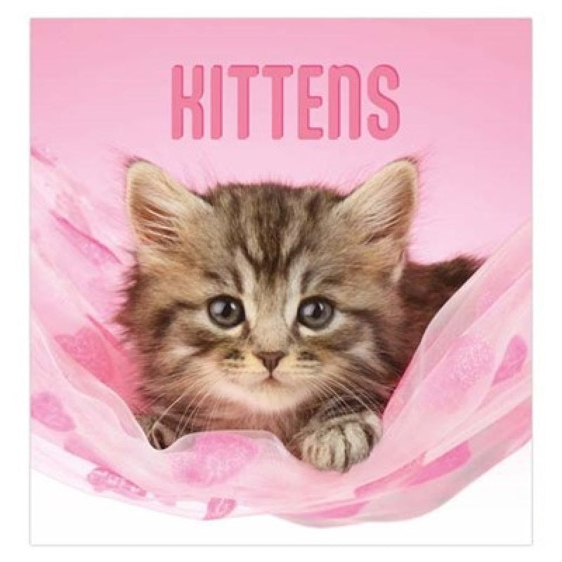 2024 Kittens - Square Wall Calendar  SOLD OUT