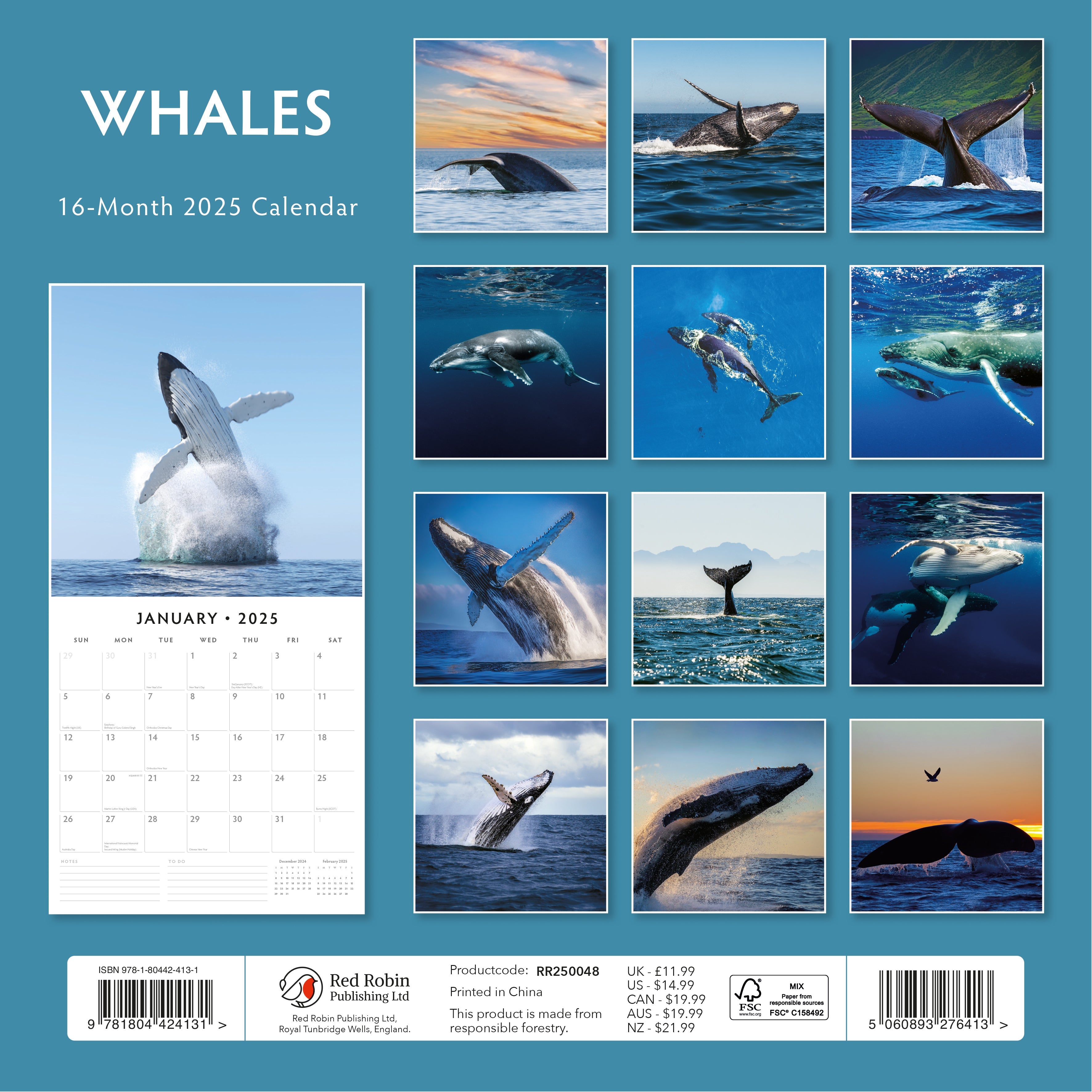 2025 Whales - Square Wall Calendar