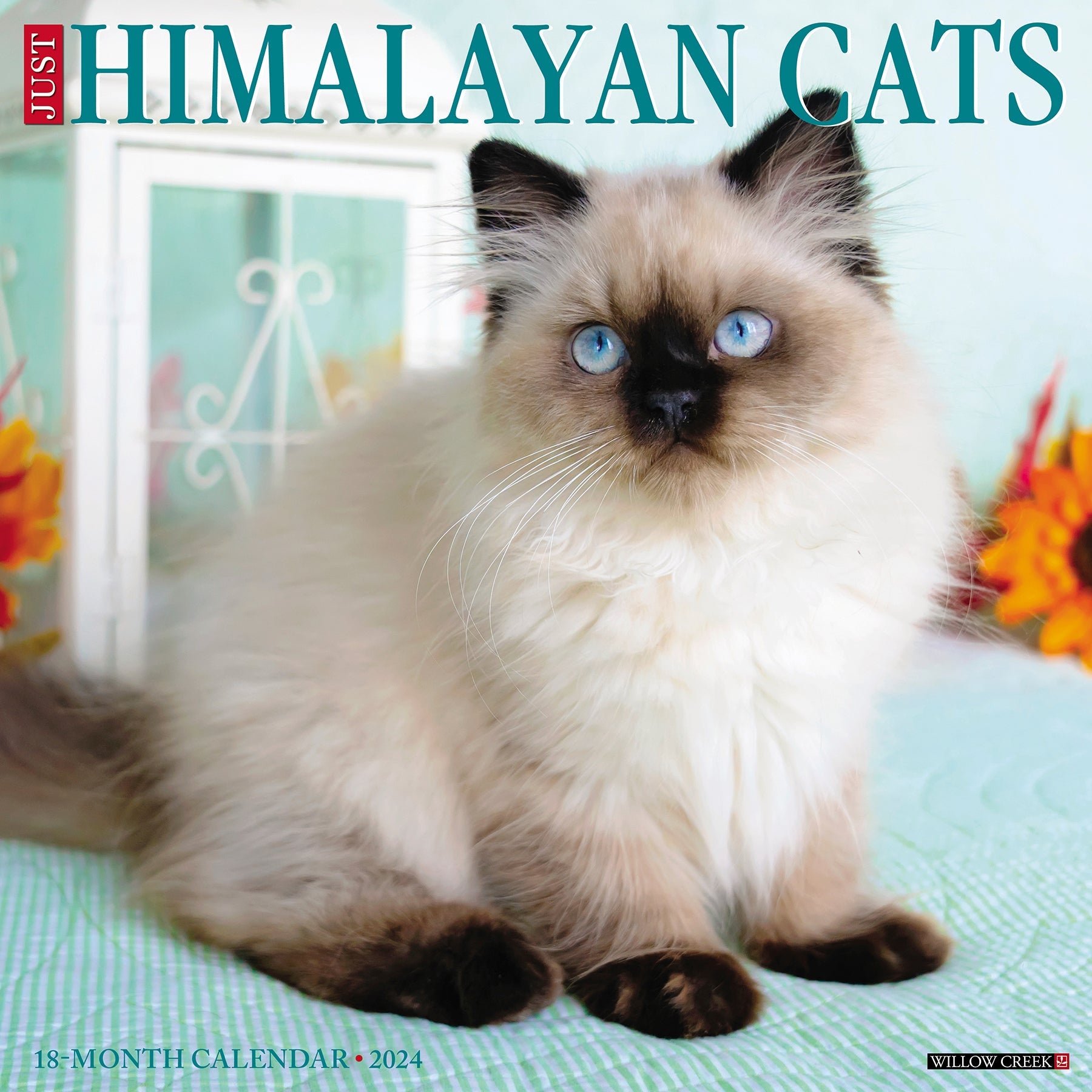 2024 Just Himalayan Cats - Square Wall Calendar