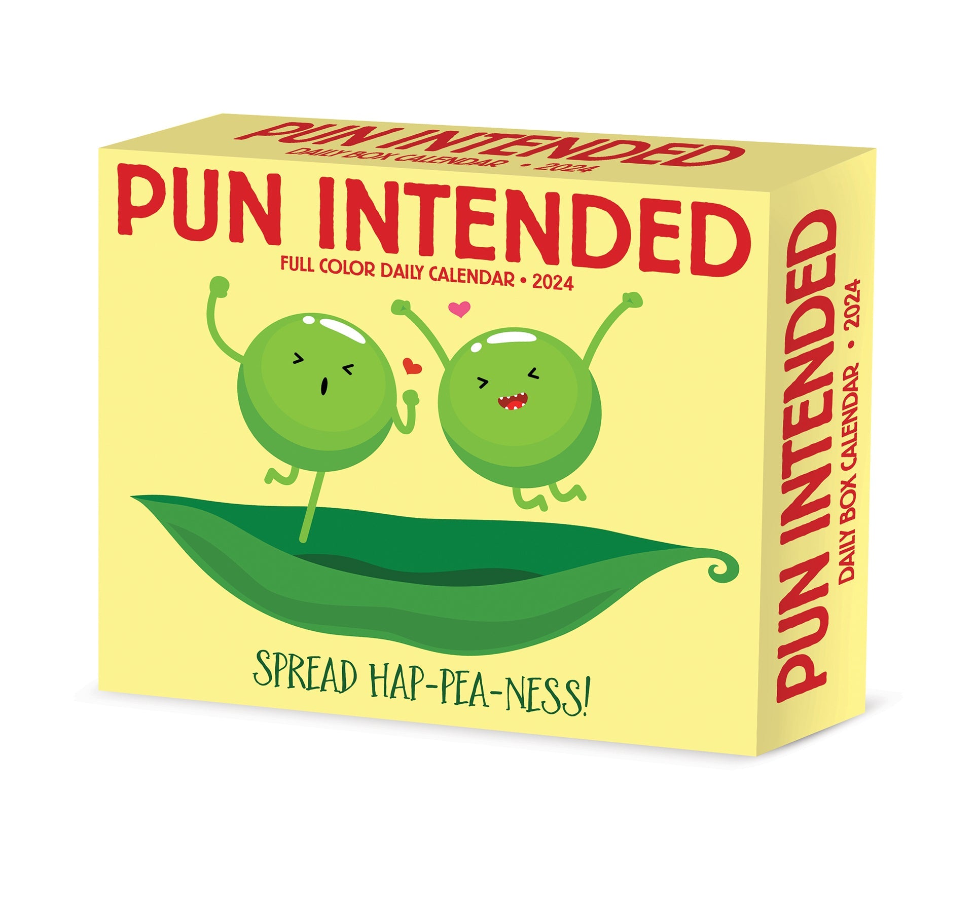 2024 Pun Intended Daily Boxed PageADay Fun & Humor Calendars by