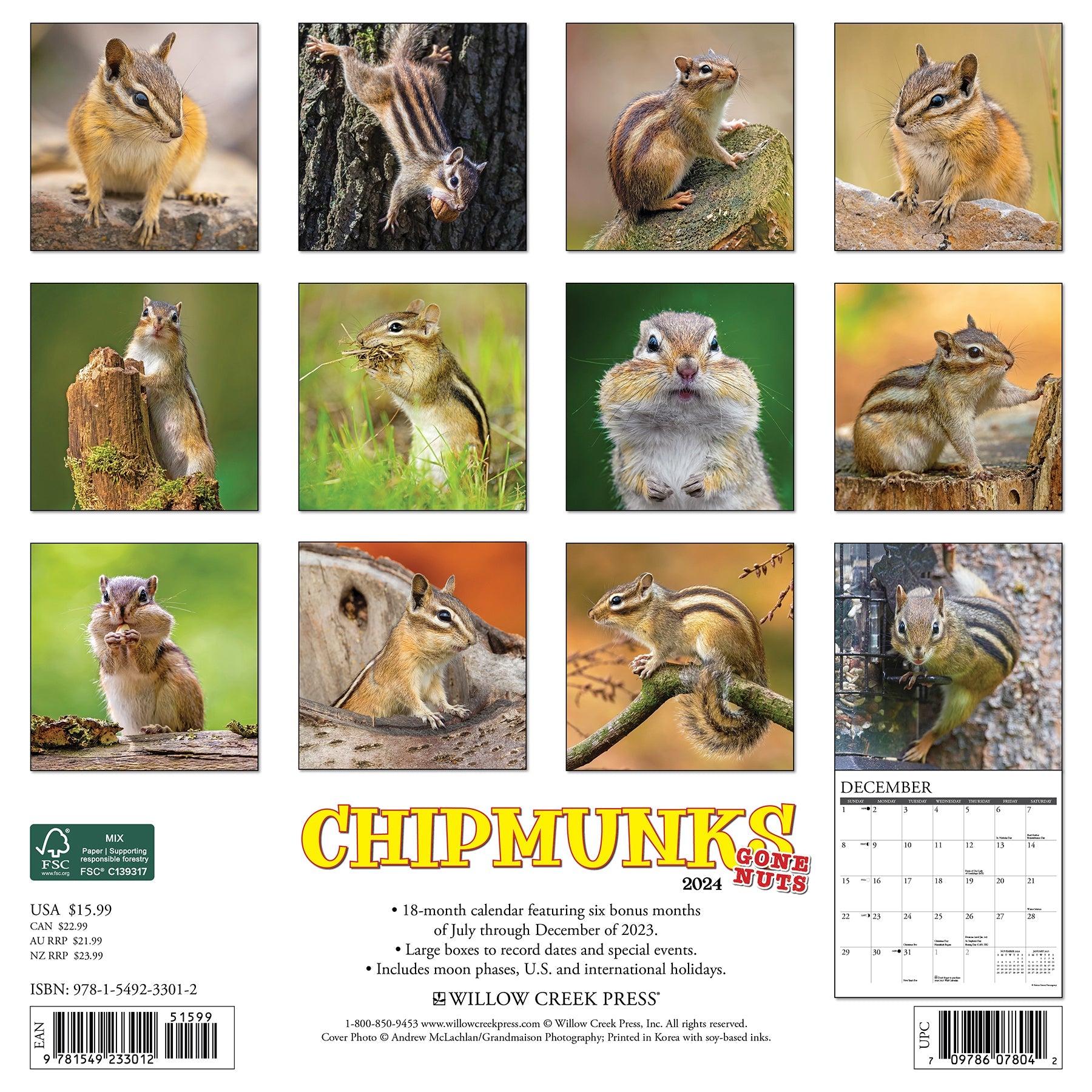 2024 Chipmunks (Gone Nuts!) - Square Wall Calendar