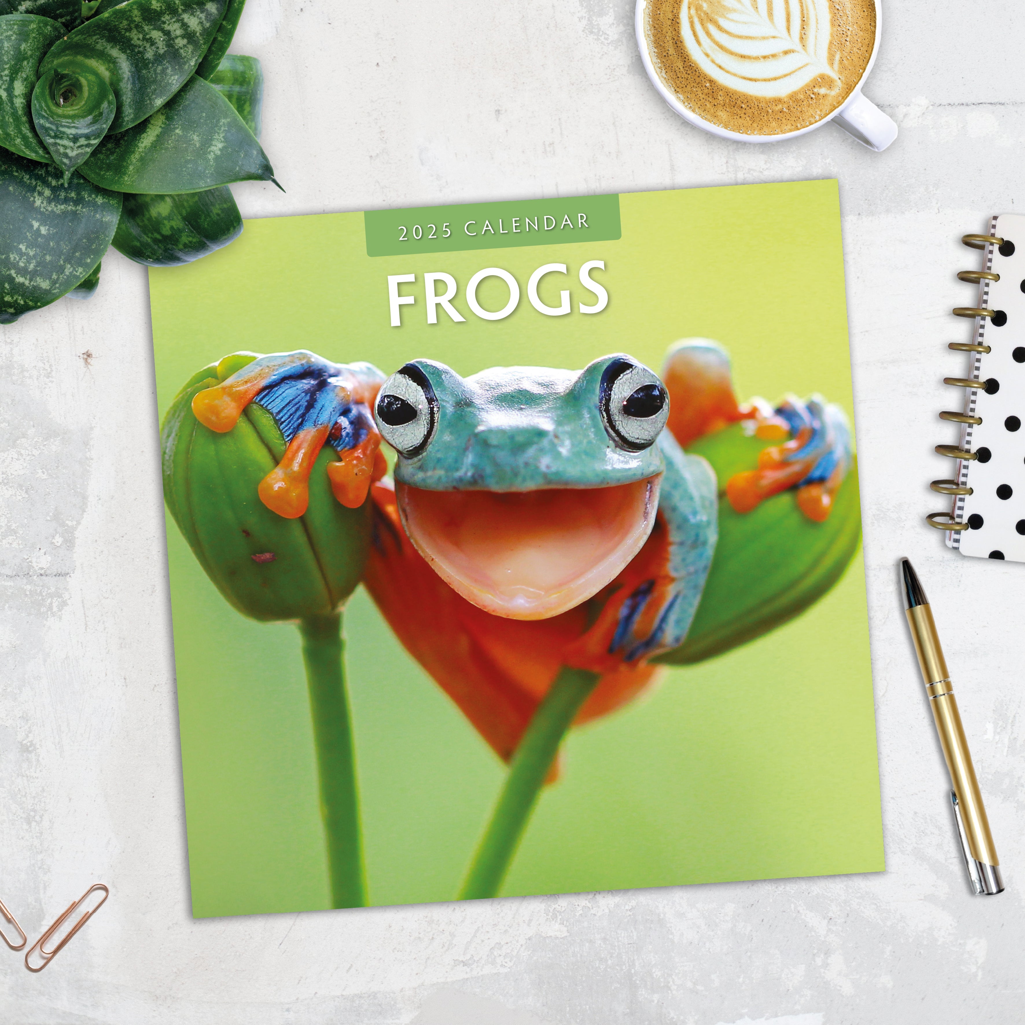 2025 Frogs - Square Wall Calendar