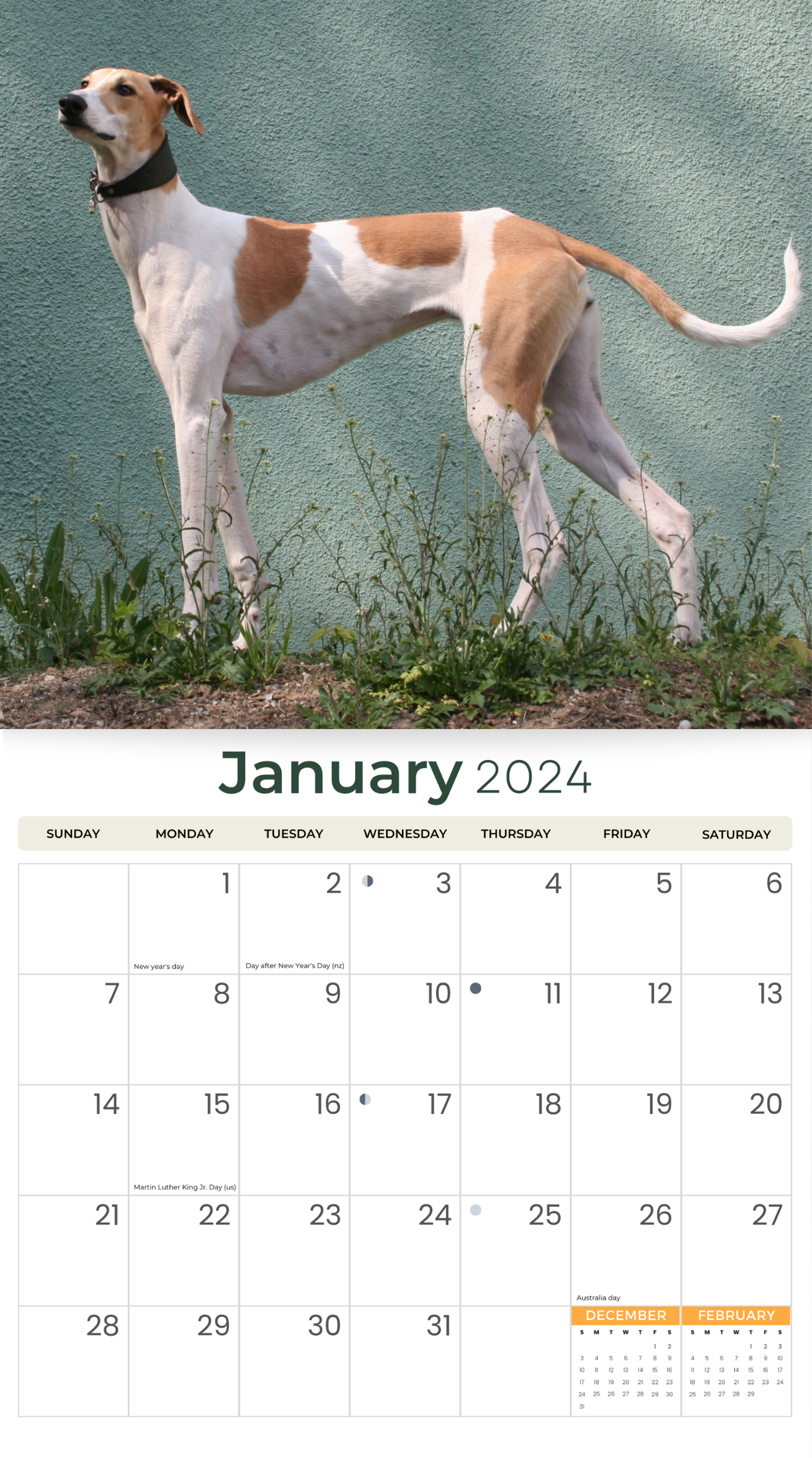 2024 Greyhounds - Deluxe Wall Calendar