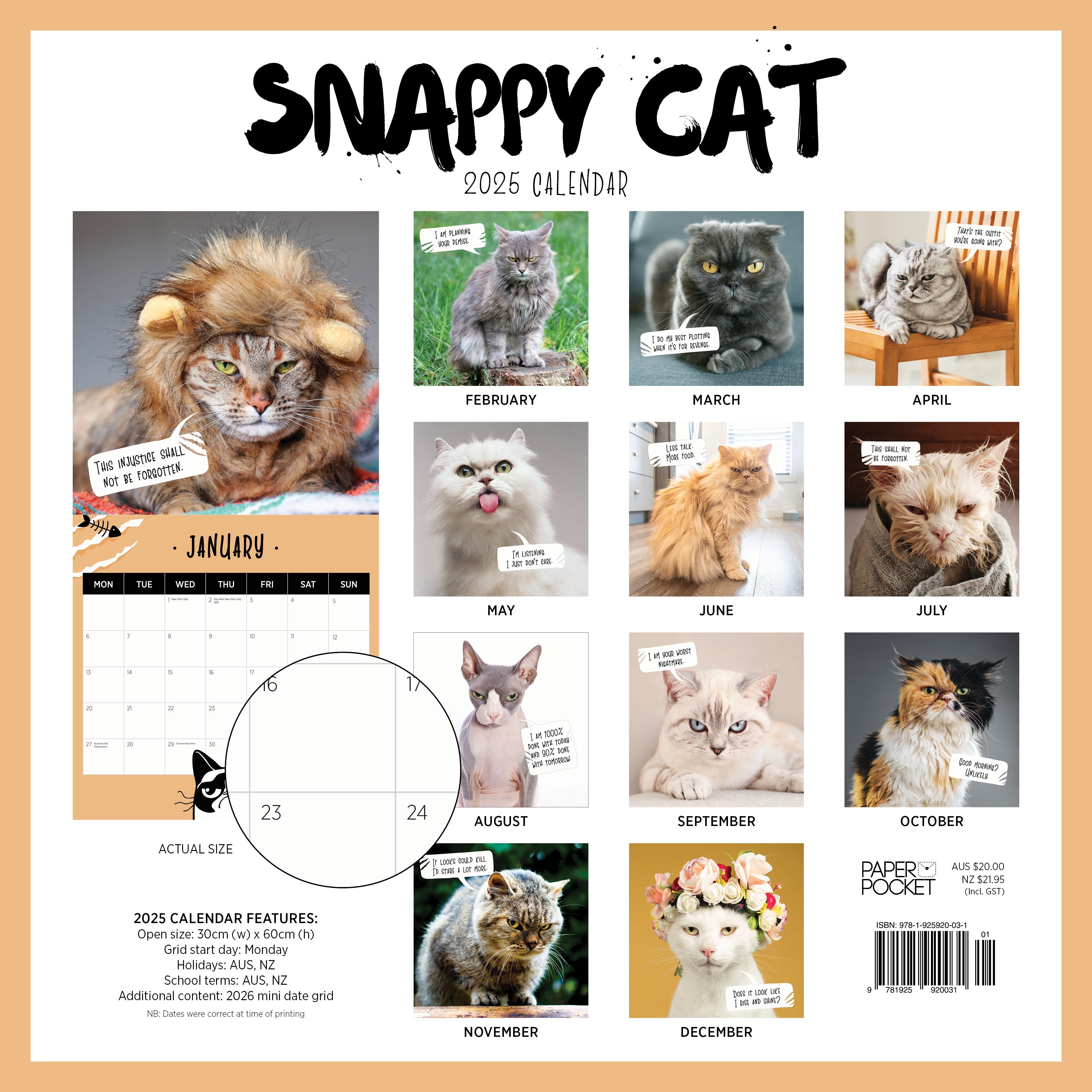 2025 Snappy Cat - Square Wall Calendar