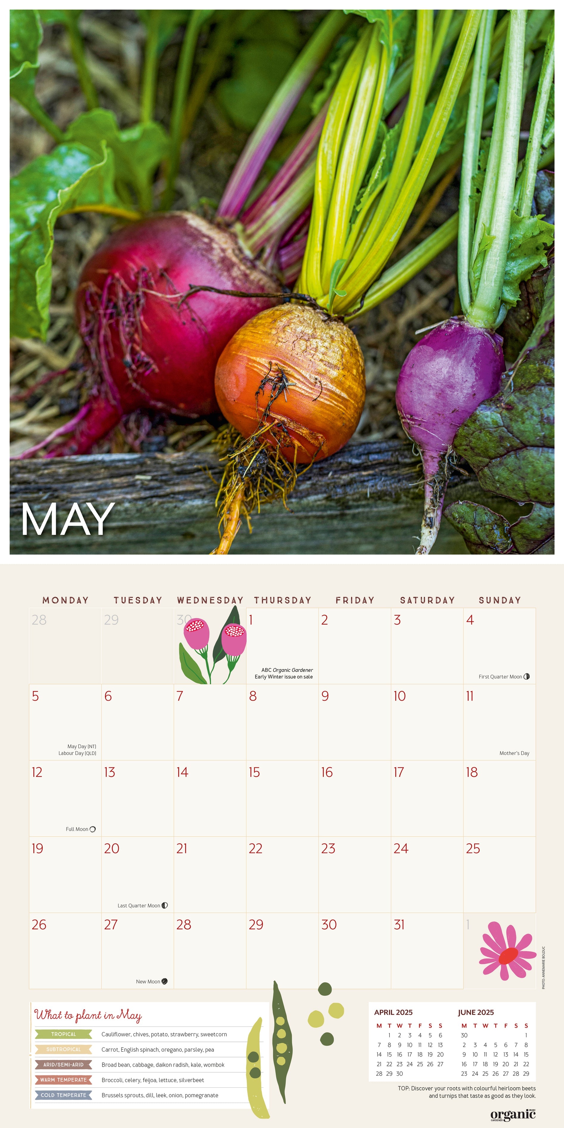 2025 ABC Organic Gardener - Square Wall Calendar