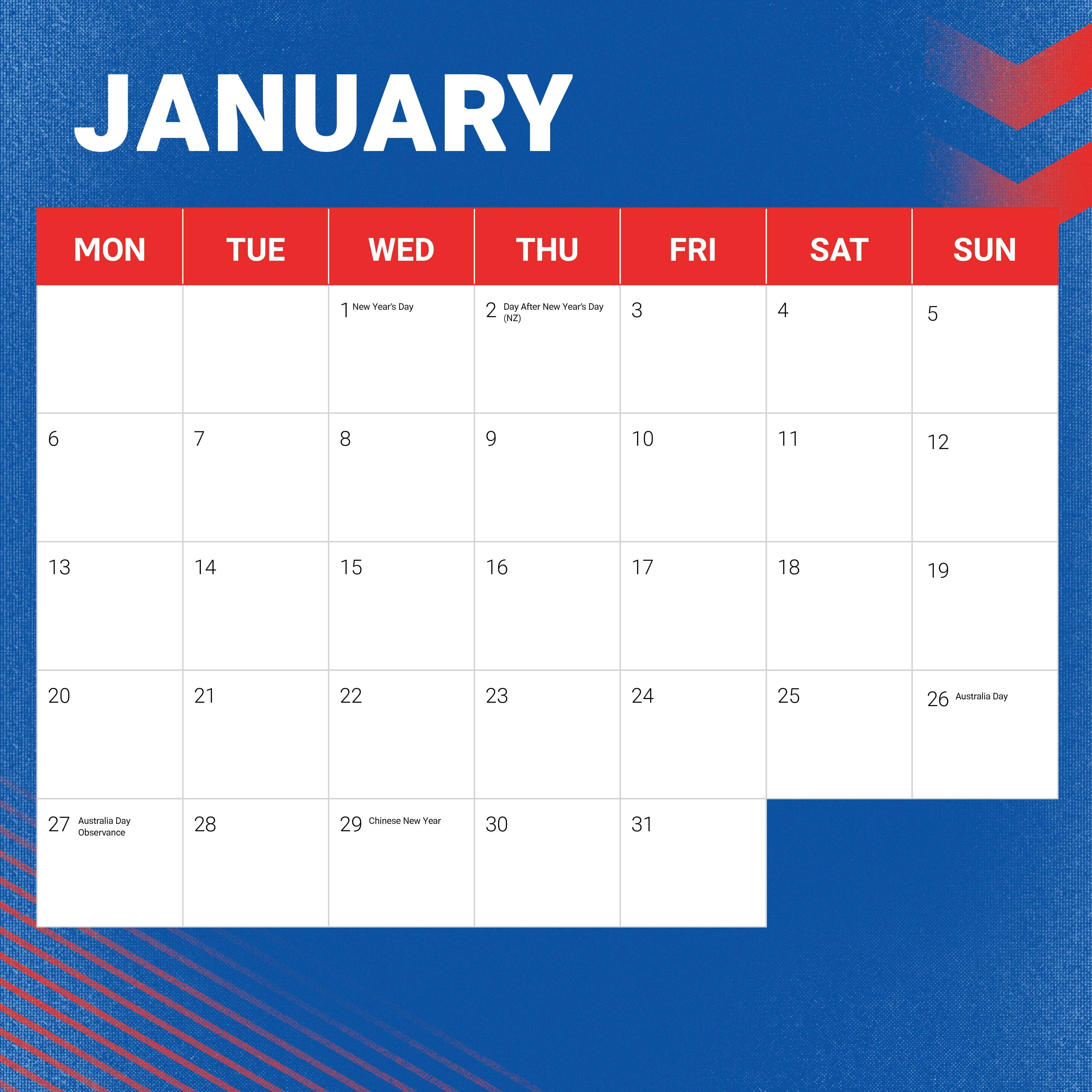 2025 NRL Newcastle Knights - Square Wall Calendar