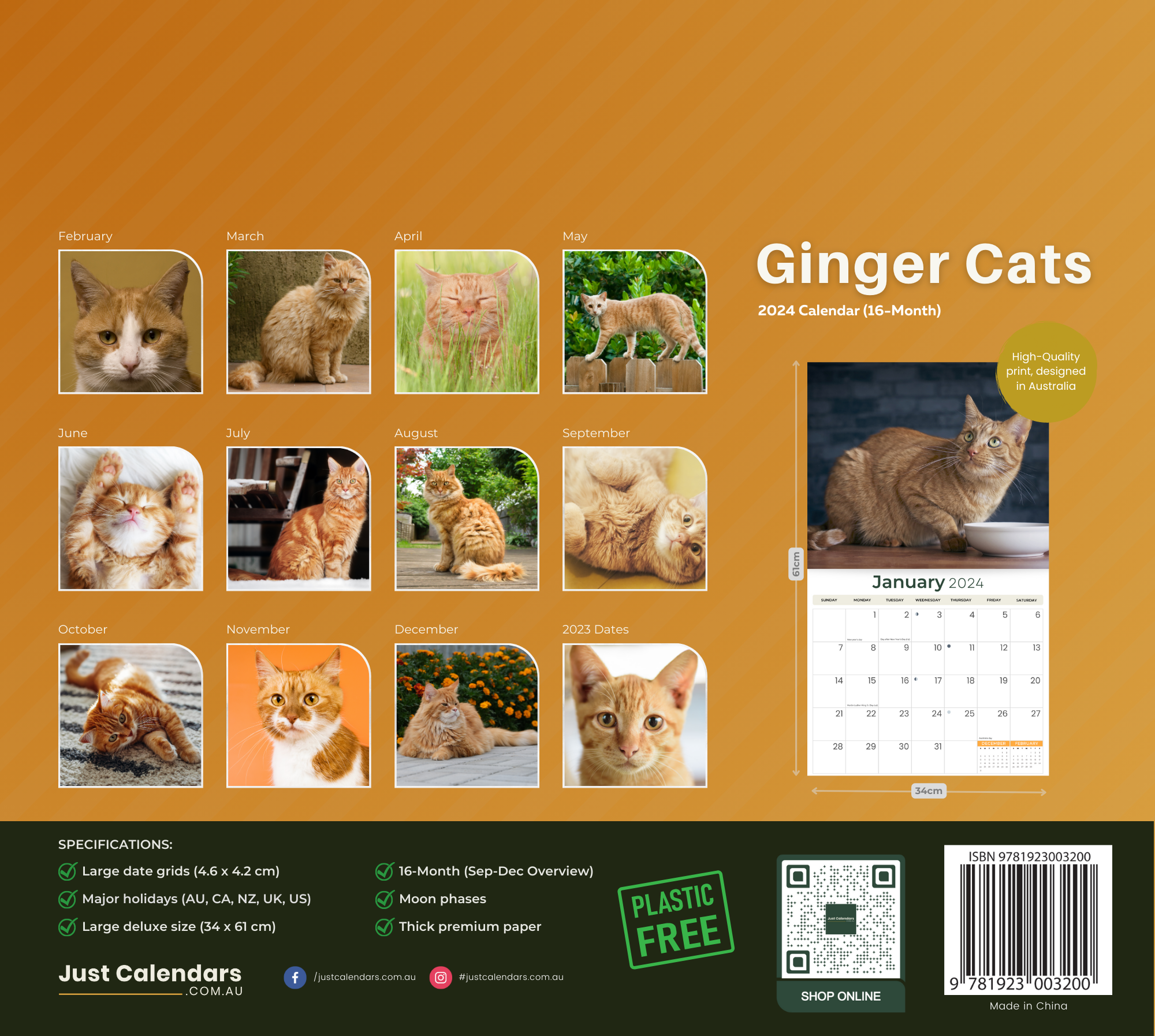 2024 Ginger Cats & Kittens - Deluxe Wall Calendar by Just Calendars - 16 Month - Plastic Free