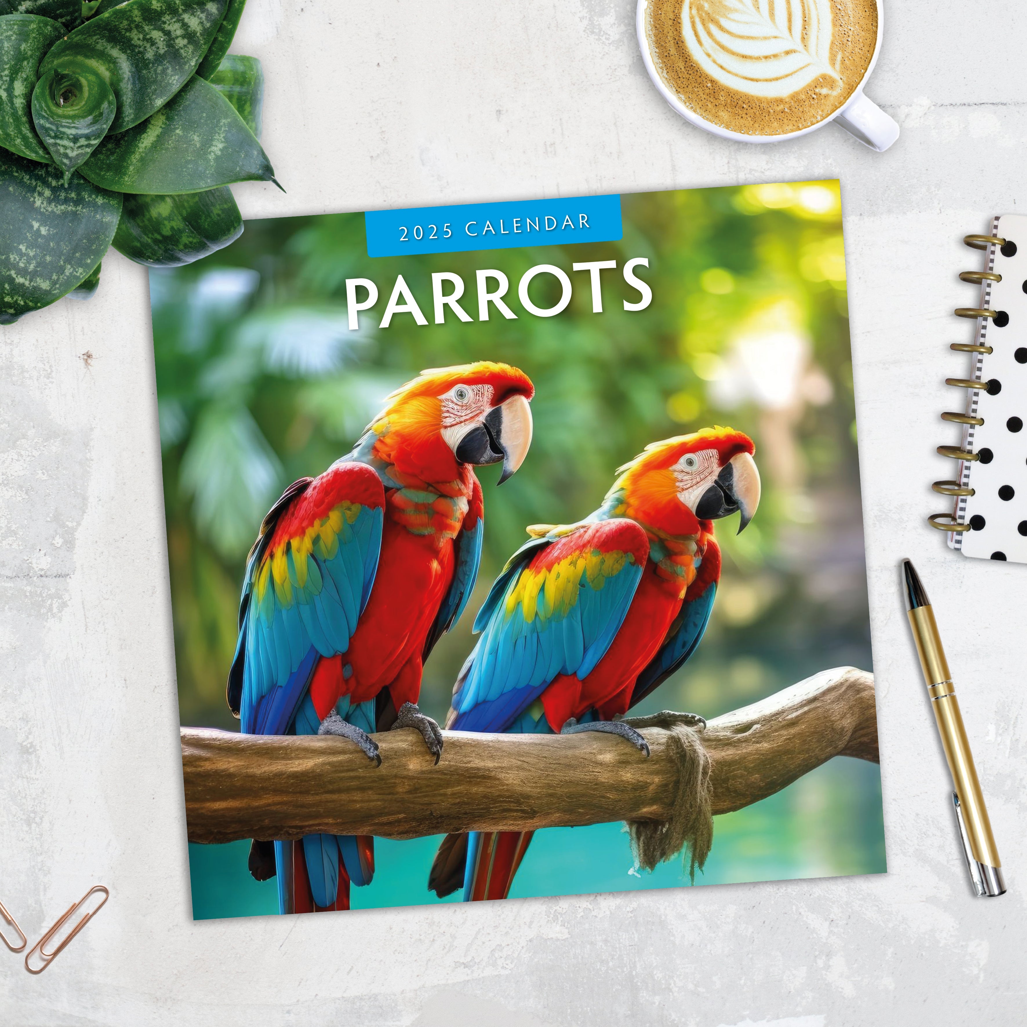 2025 Parrots - Square Wall Calendar