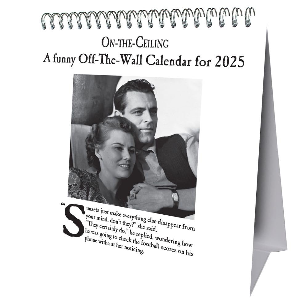 2025 On The Ceiling - Desk Easel Calendar