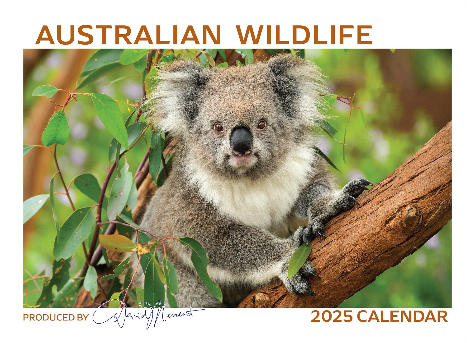 2025 Australian Wildlife By David Messent - Horizontal Wall Calendar