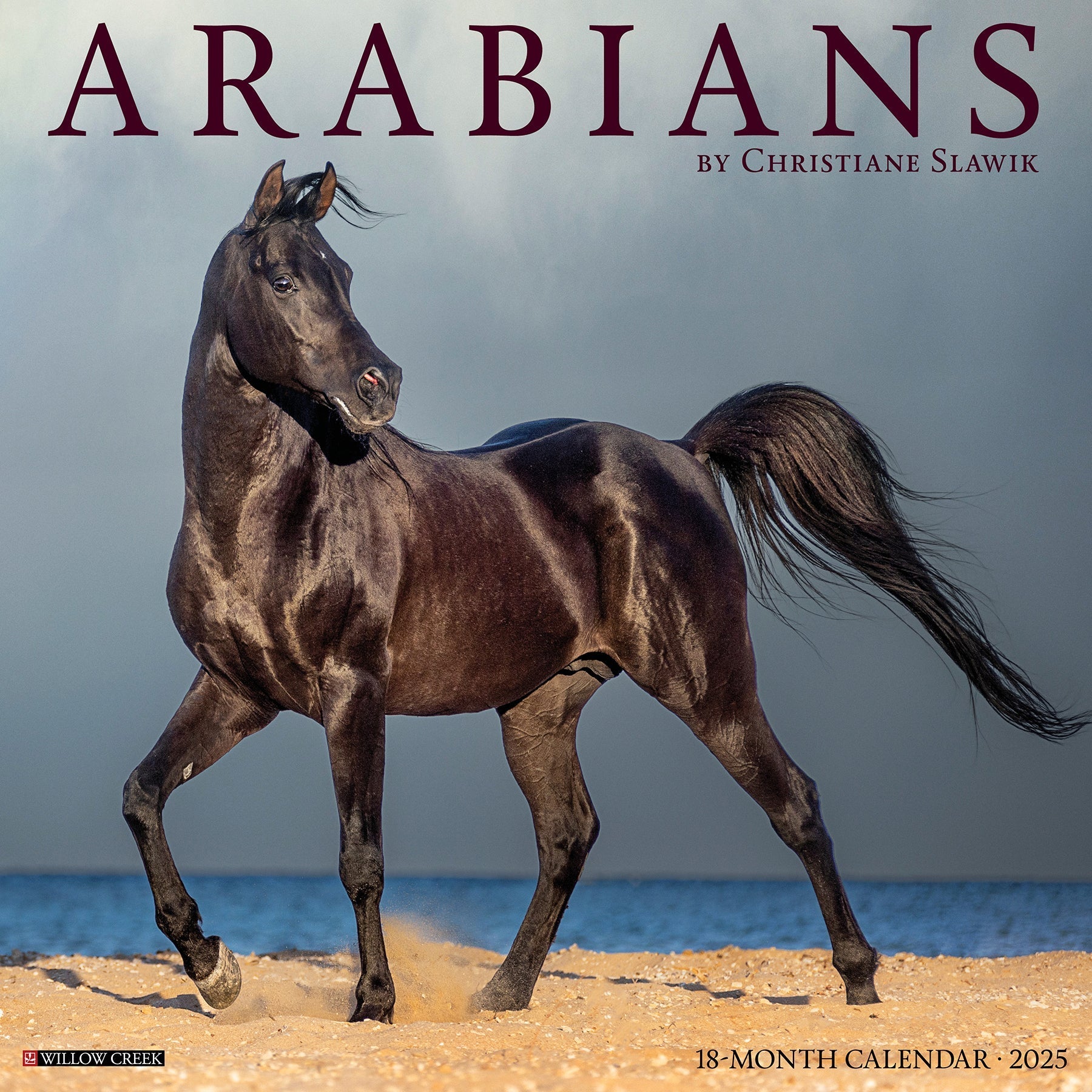 2025 Arabians - Square Wall Calendar