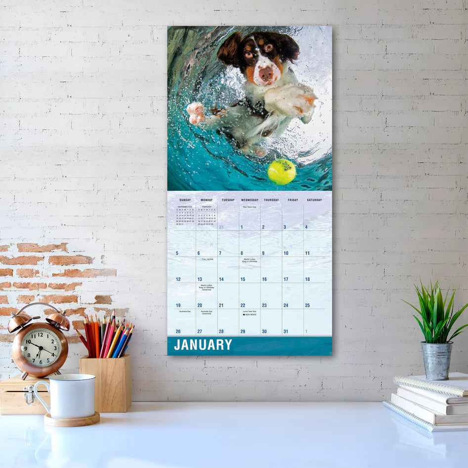 2025 Underwater Dogs - Square Wall Calendar