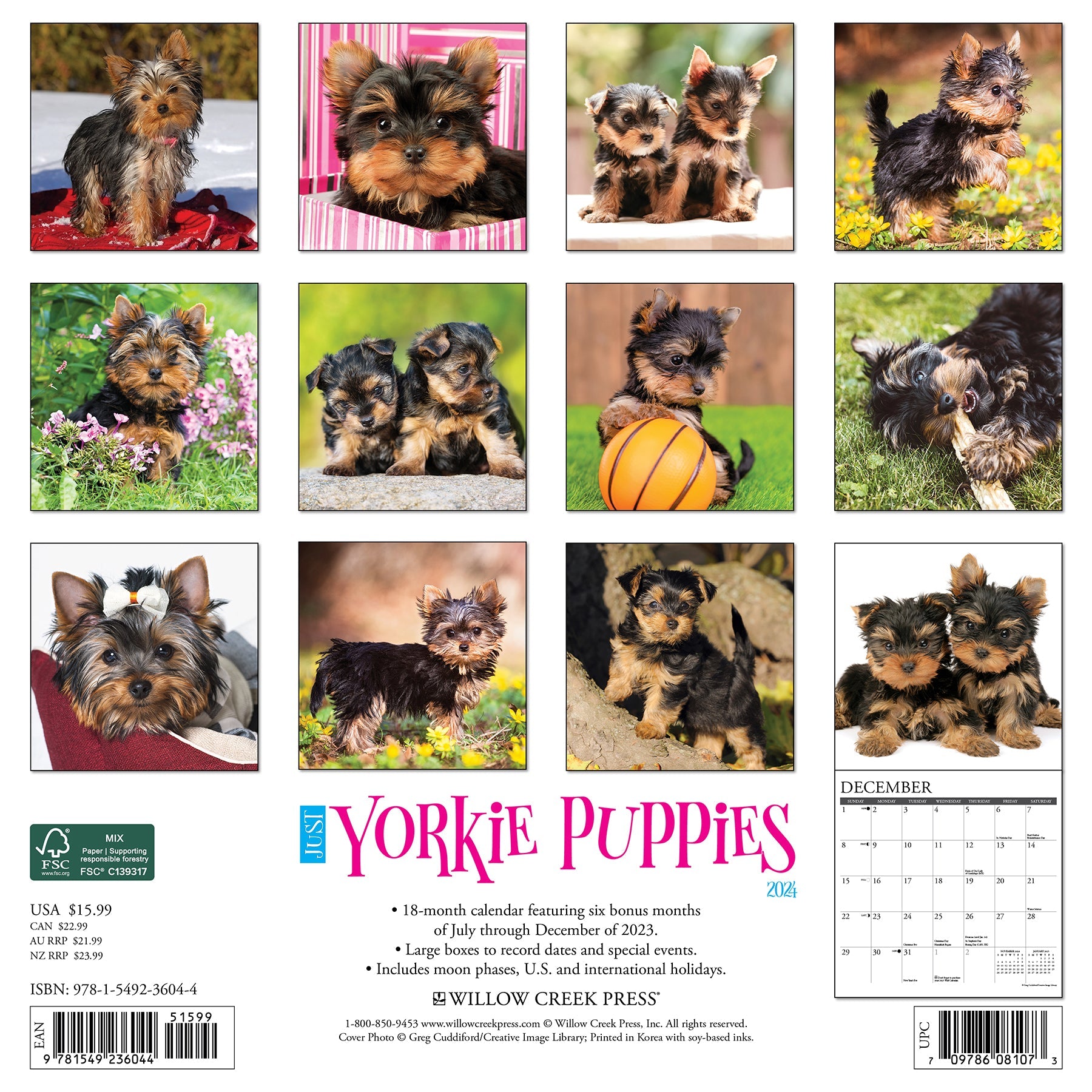 2024 Just Yorkie Puppies - Square Wall Calendar