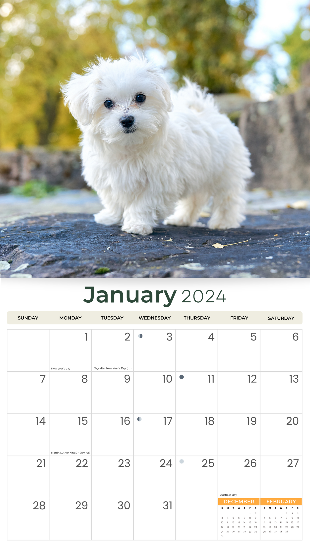 2024 Maltese Dogs & Puppies - Deluxe Wall Calendar by Just Calendars - 16 Month - Plastic Free