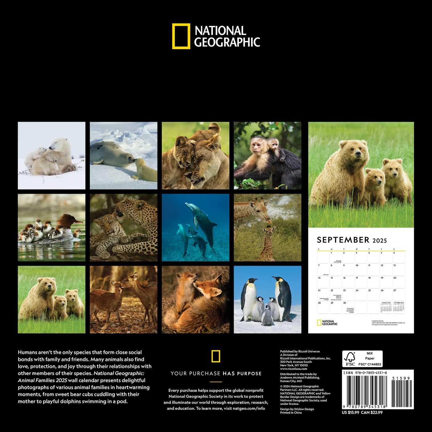 2025 National Geographic: Animal Families - Square Wall Calendar