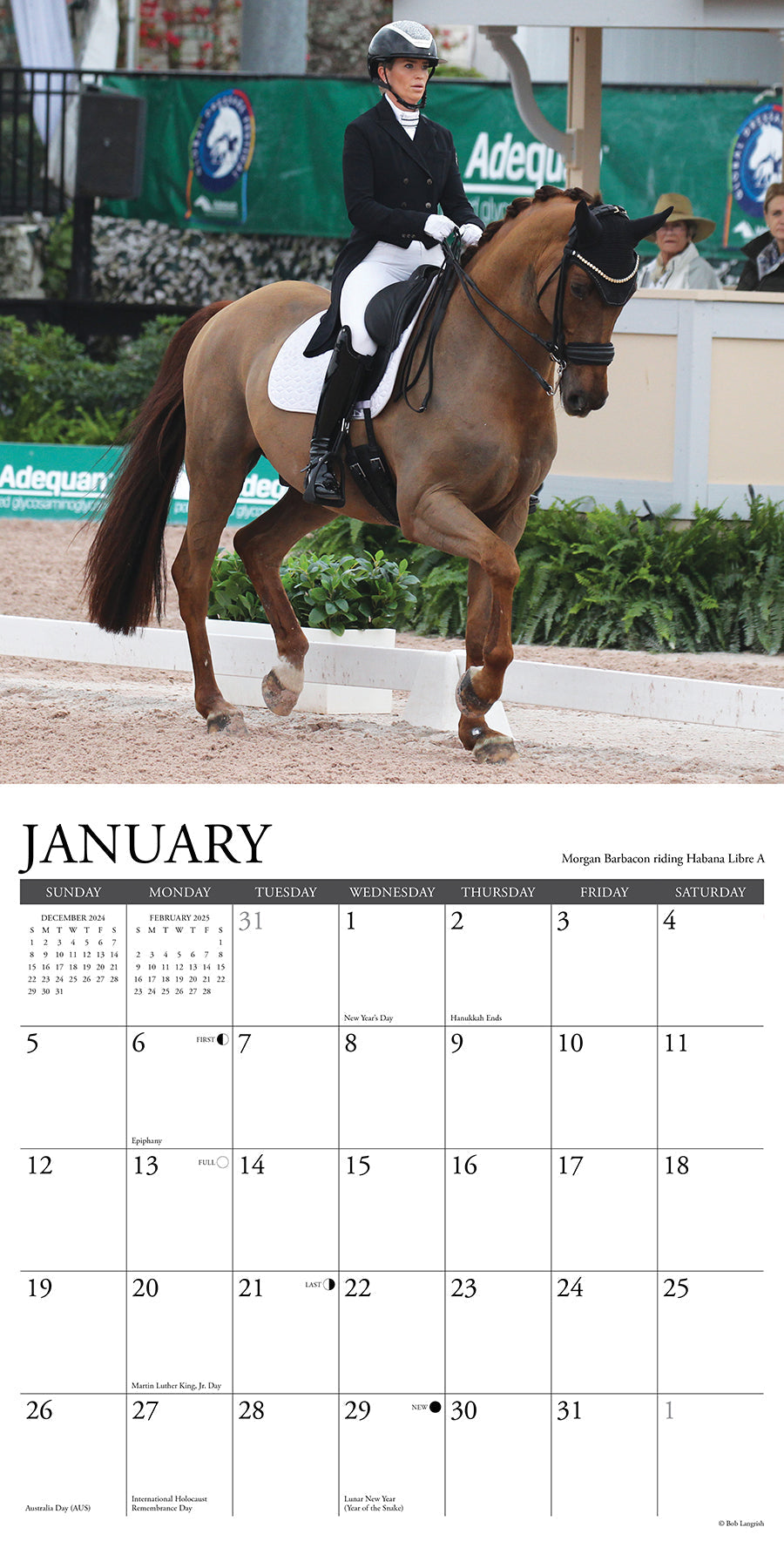 2025 Dressage - Square Wall Calendar