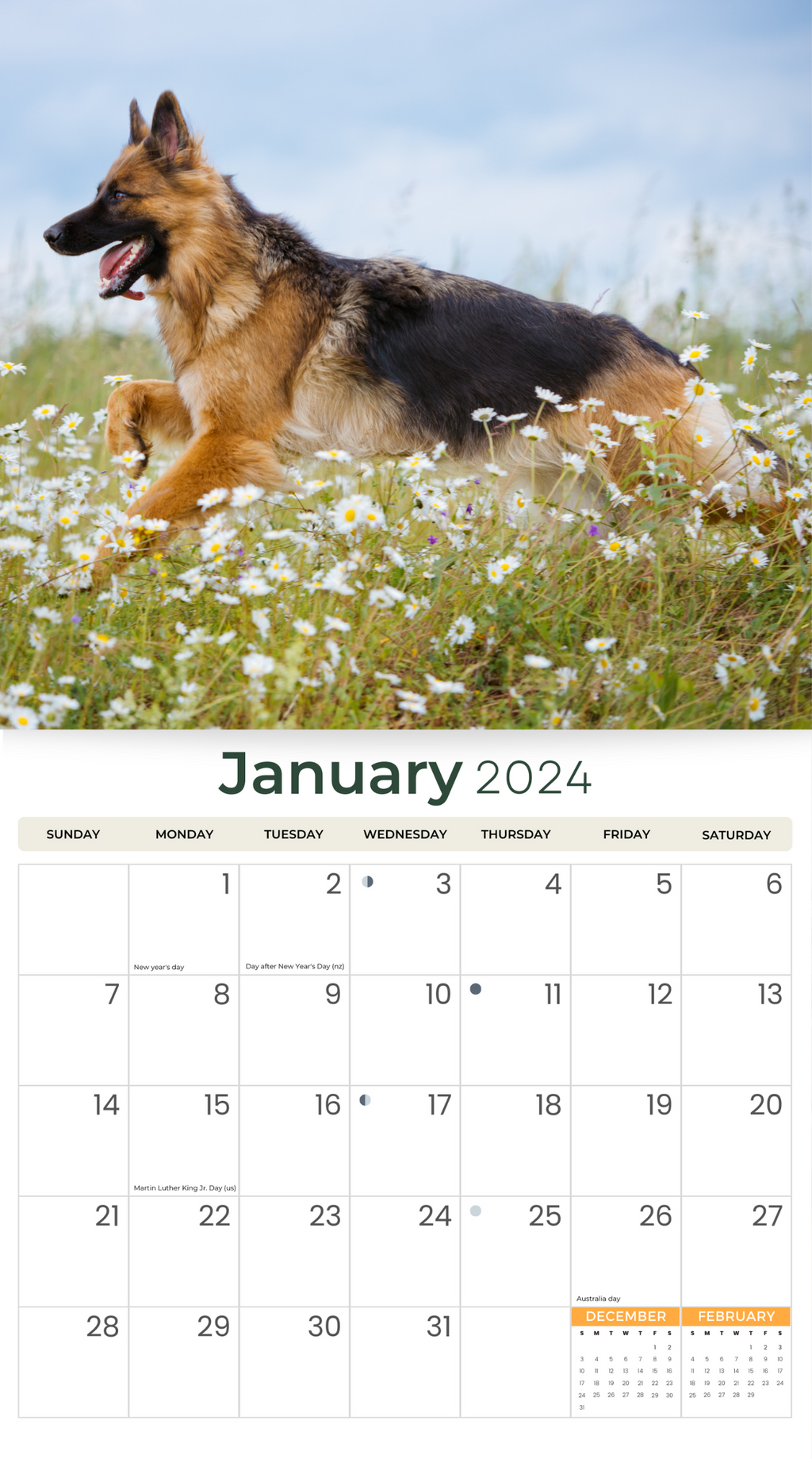 2024 German Shepherds Deluxe Wall Calendar Dogs & Puppies