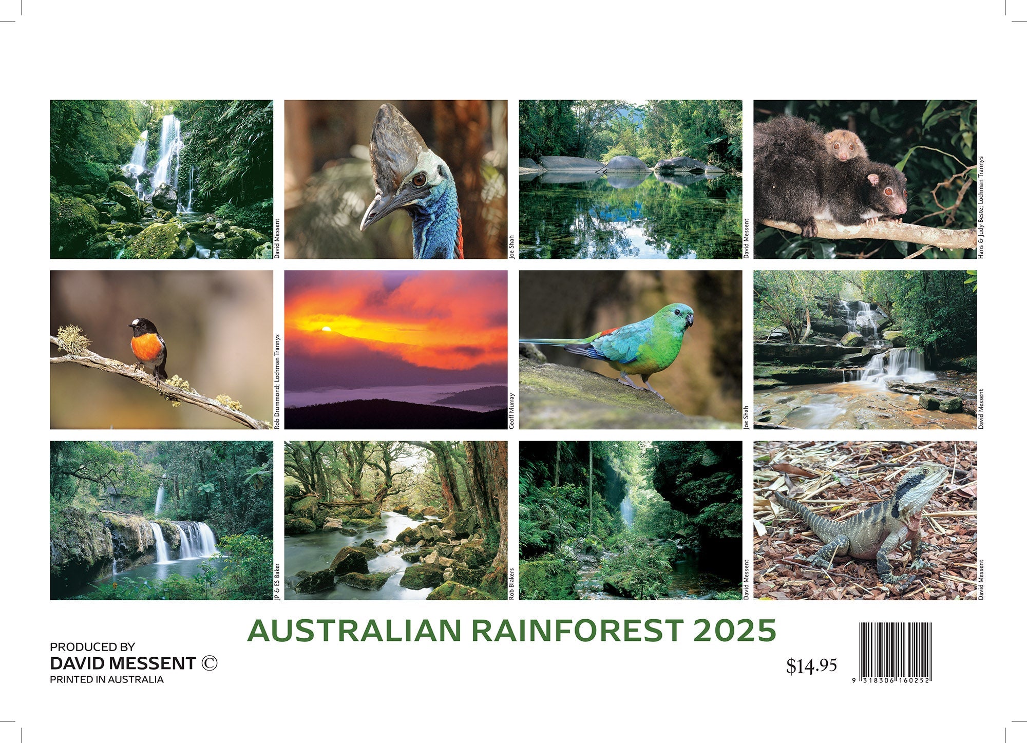 2025 Australian Rainforest By David Messent - Horizontal Wall Calendar