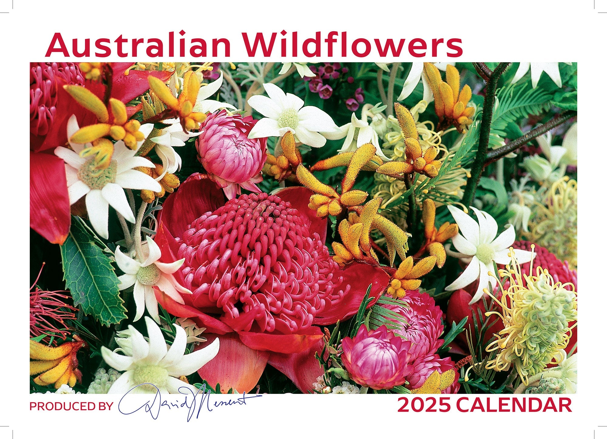 2025 Australian Wildflowers By David Messent - Horizontal Wall Calendar