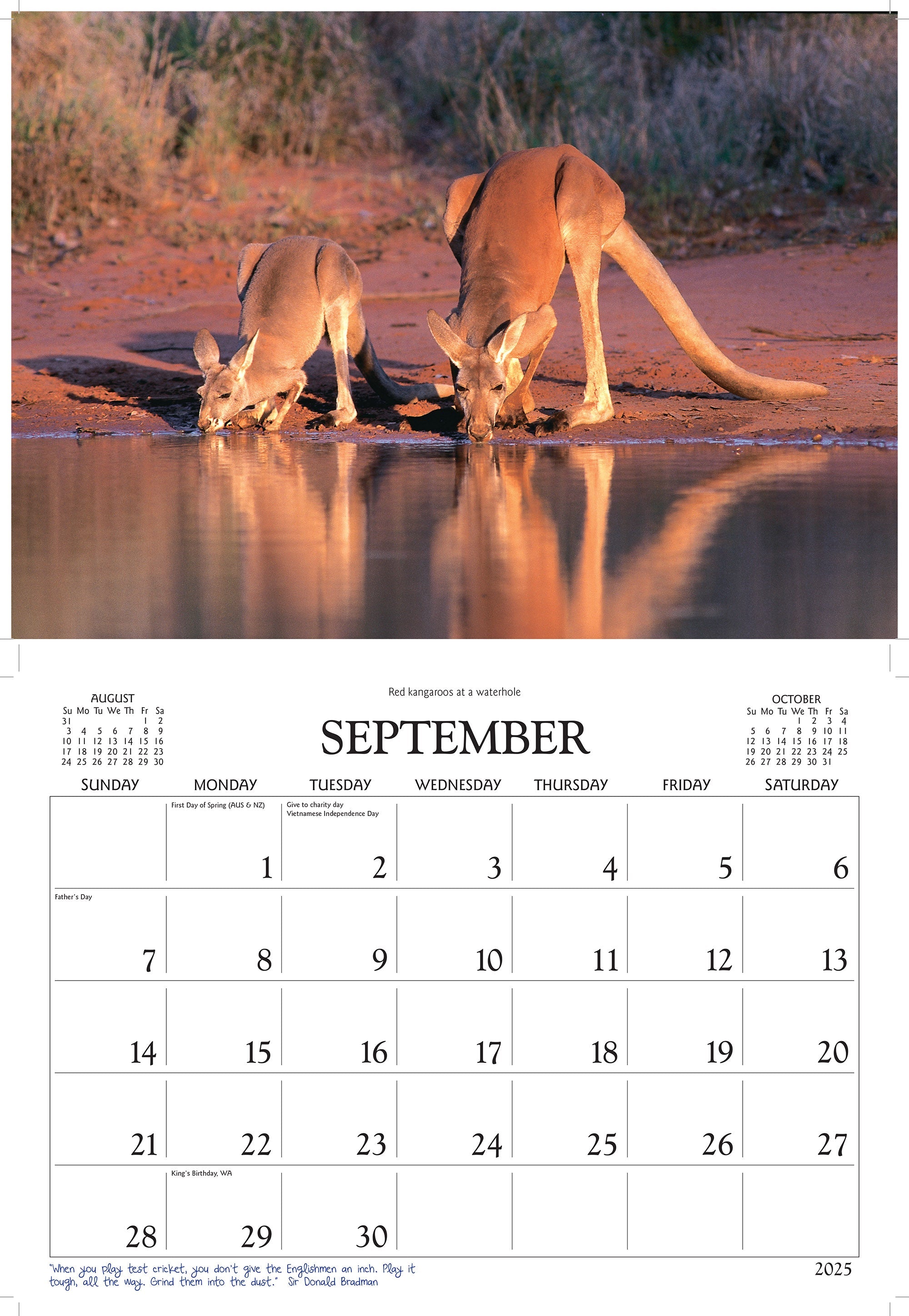 2025 Australian Wildlife By David Messent - Horizontal Wall Calendar