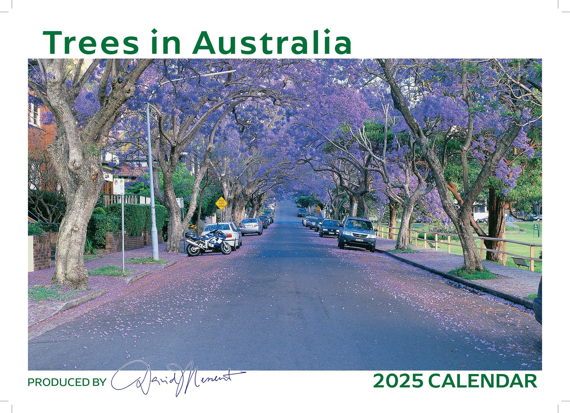 2025 Trees in Australia By David Messent - Horizontal Wall Calendar