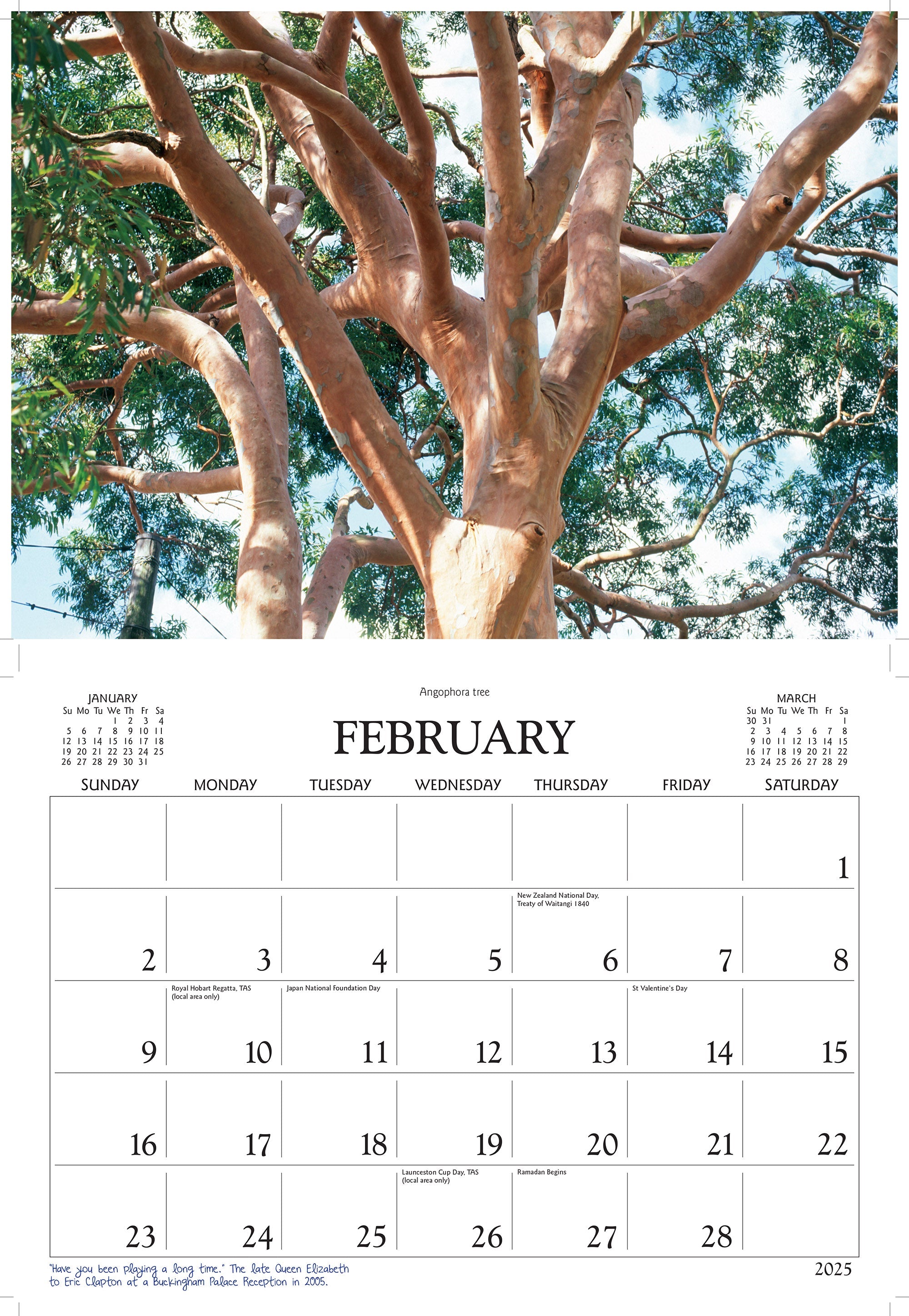 2025 Trees in Australia By David Messent - Horizontal Wall Calendar