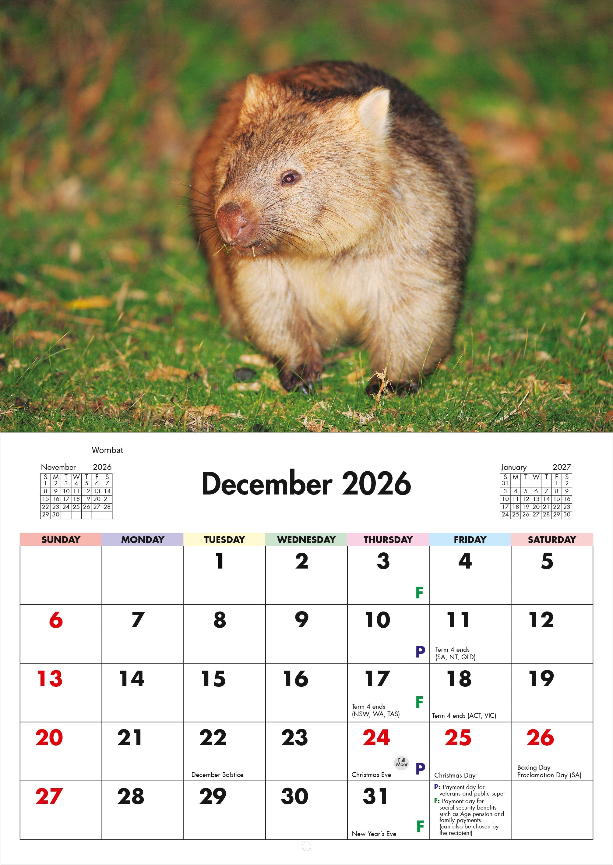 2026 Wildlife Of Australia - Horizontal Wall Calendar