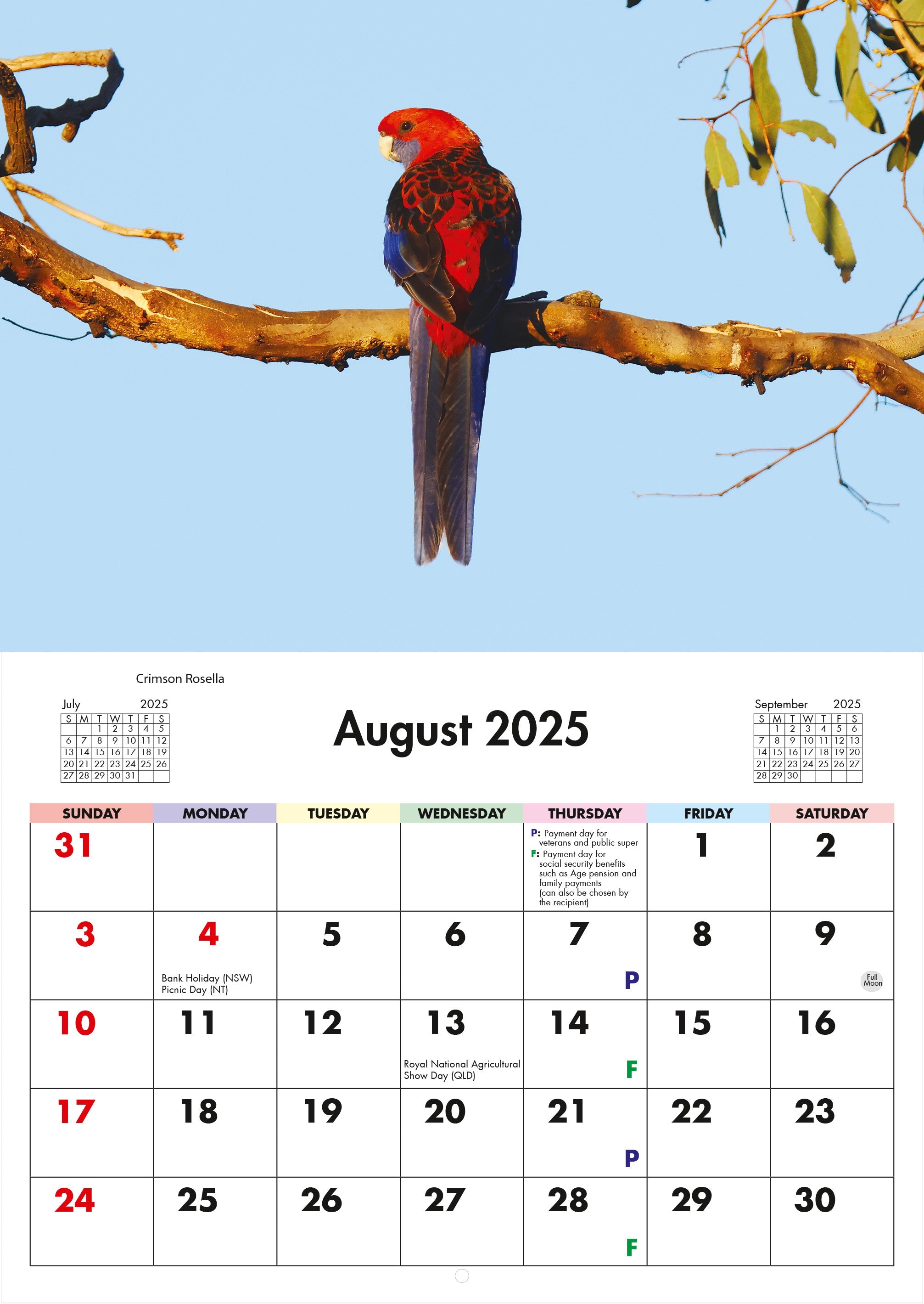2026 Australian Birds Horizontal Wall Calendar 3 654e69c8 61f8 4309 89e9 