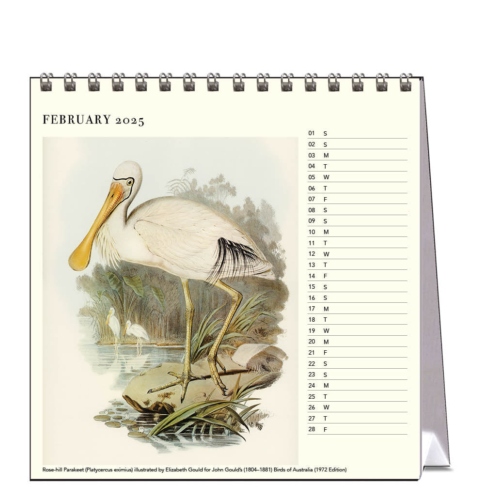 2025 Australian Birds John Gould - Desk Easel Calendar