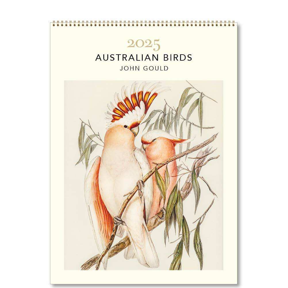 2025 Australian Birds John Gould - Deluxe Wall Calendar