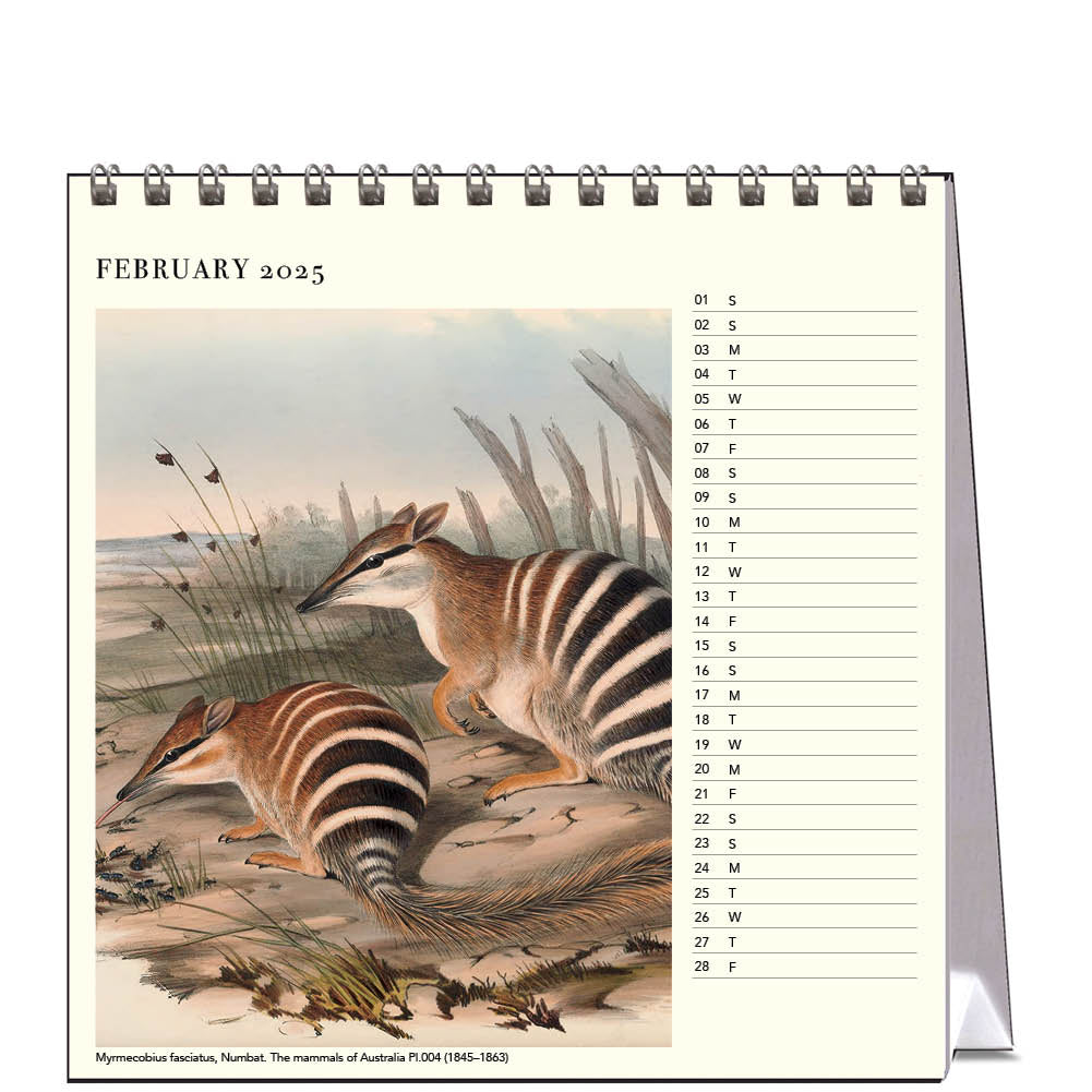 2025 Australian Animals John Gould - Desk Easel Calendar