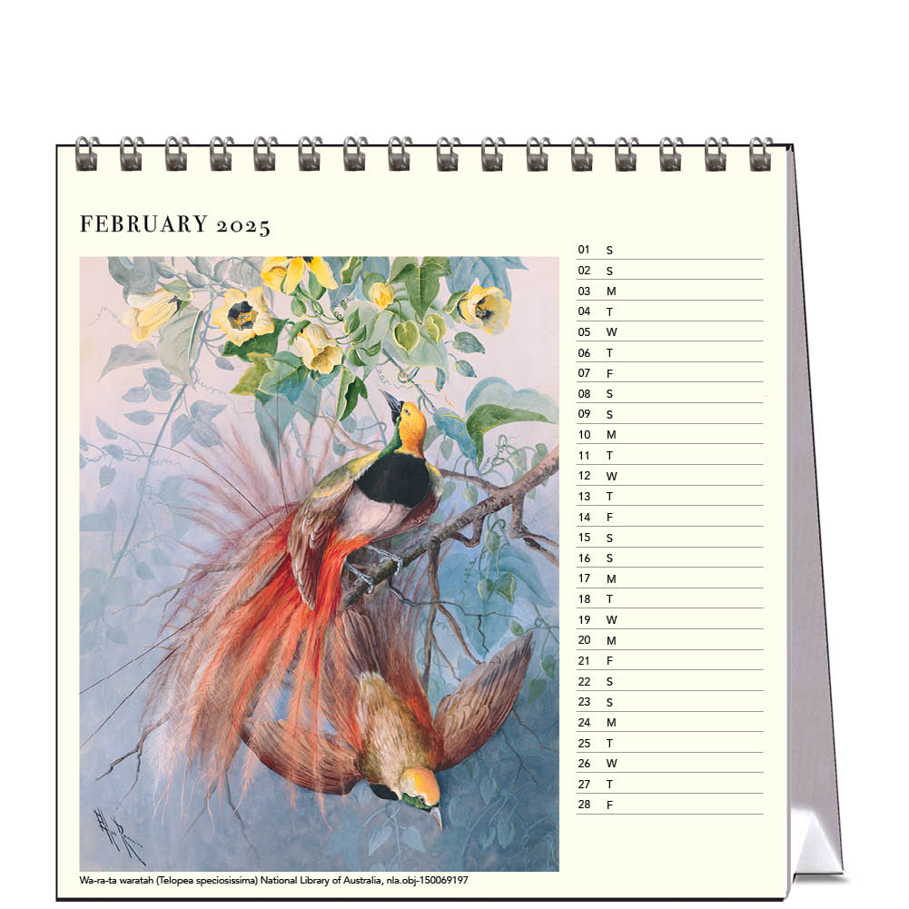 2025 Ellis Rowan Birds - Desk Easel Calendar