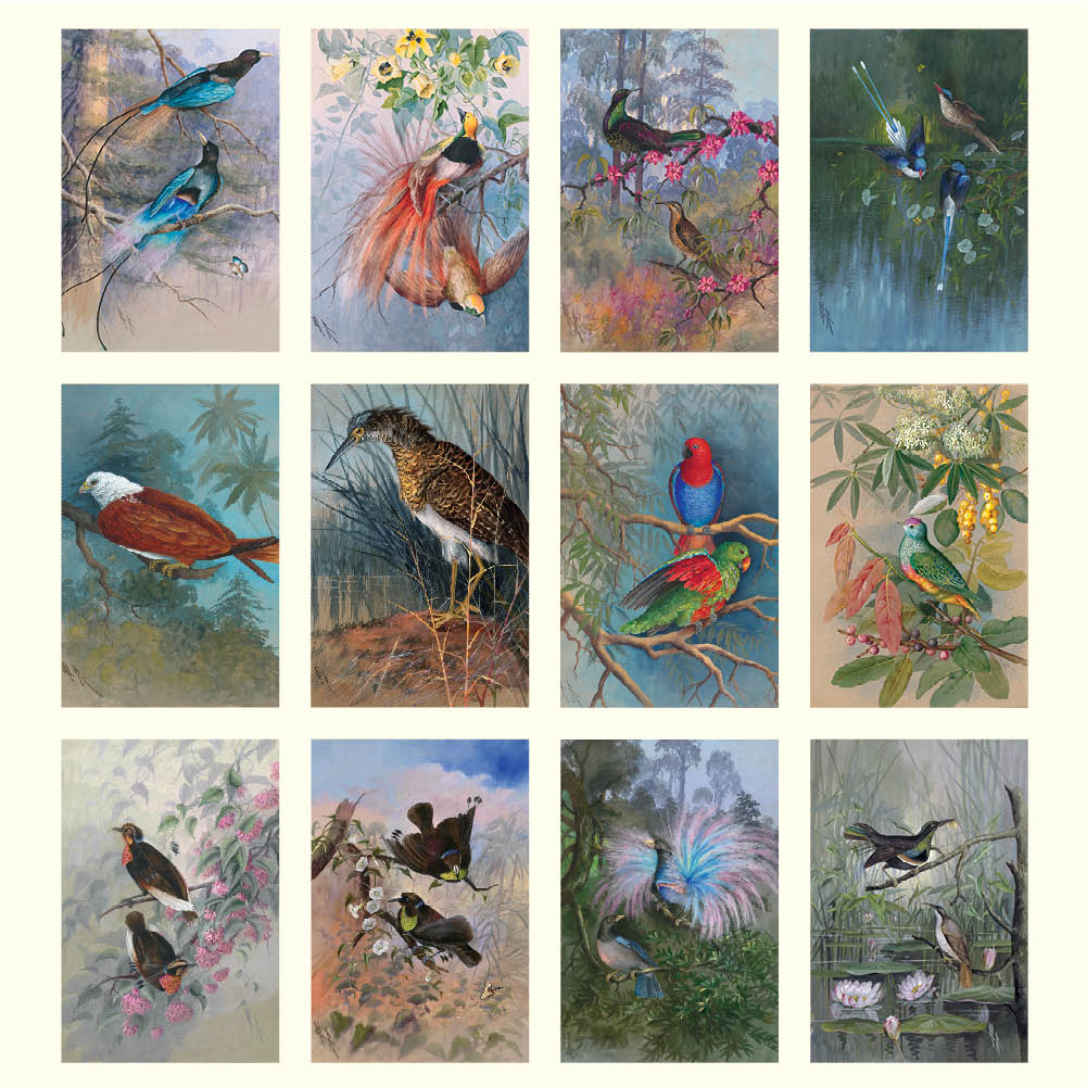 2025 Ellis Rowan Birds - Deluxe Wall Calendar