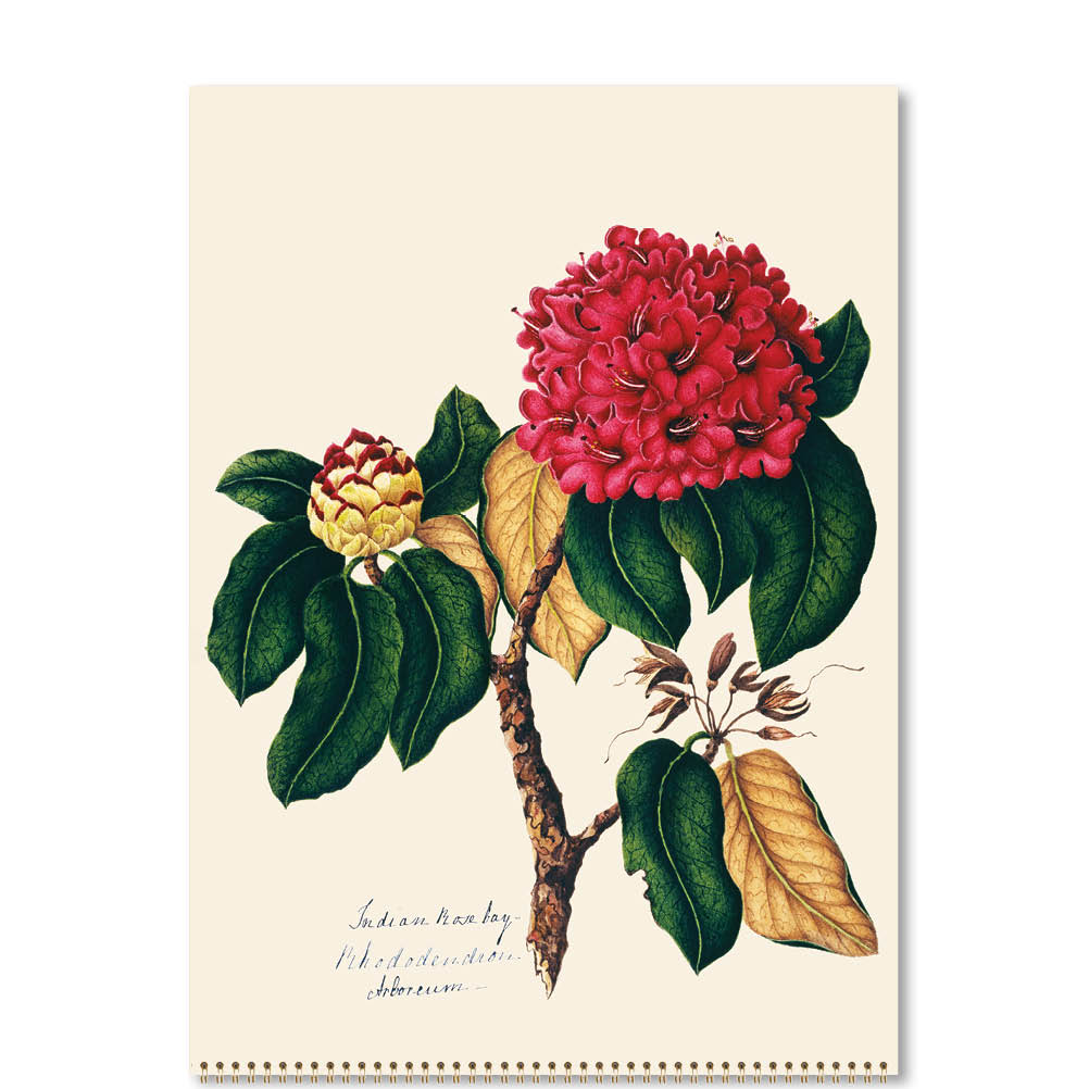 2025 Margaret Cockburn Flowers - Deluxe Wall Calendar