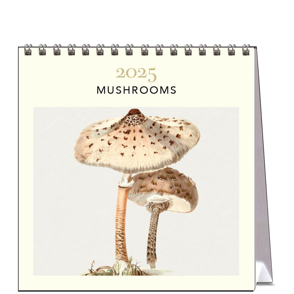 2025 Mushrooms - Desk Easel Calendar