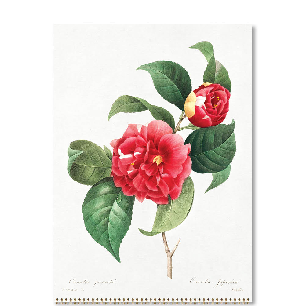 2025 Redoute's Flowers - Deluxe Wall Calendar