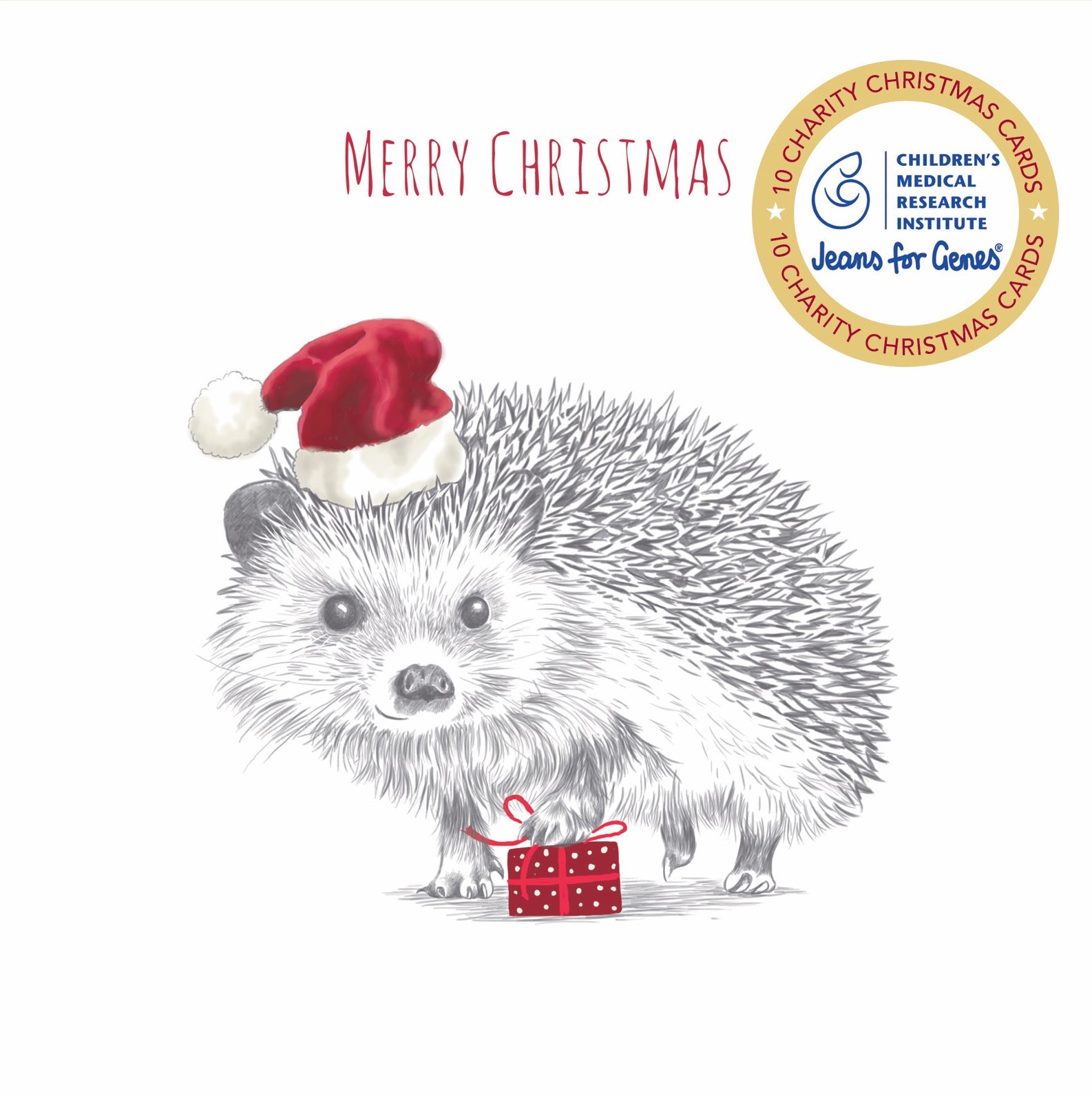 CMRI - Hedgehog Present - 10 Charity Christmas Cards Pack