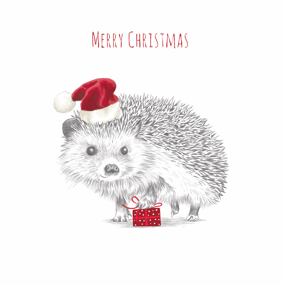 CMRI - Hedgehog Present - 10 Charity Christmas Cards Pack