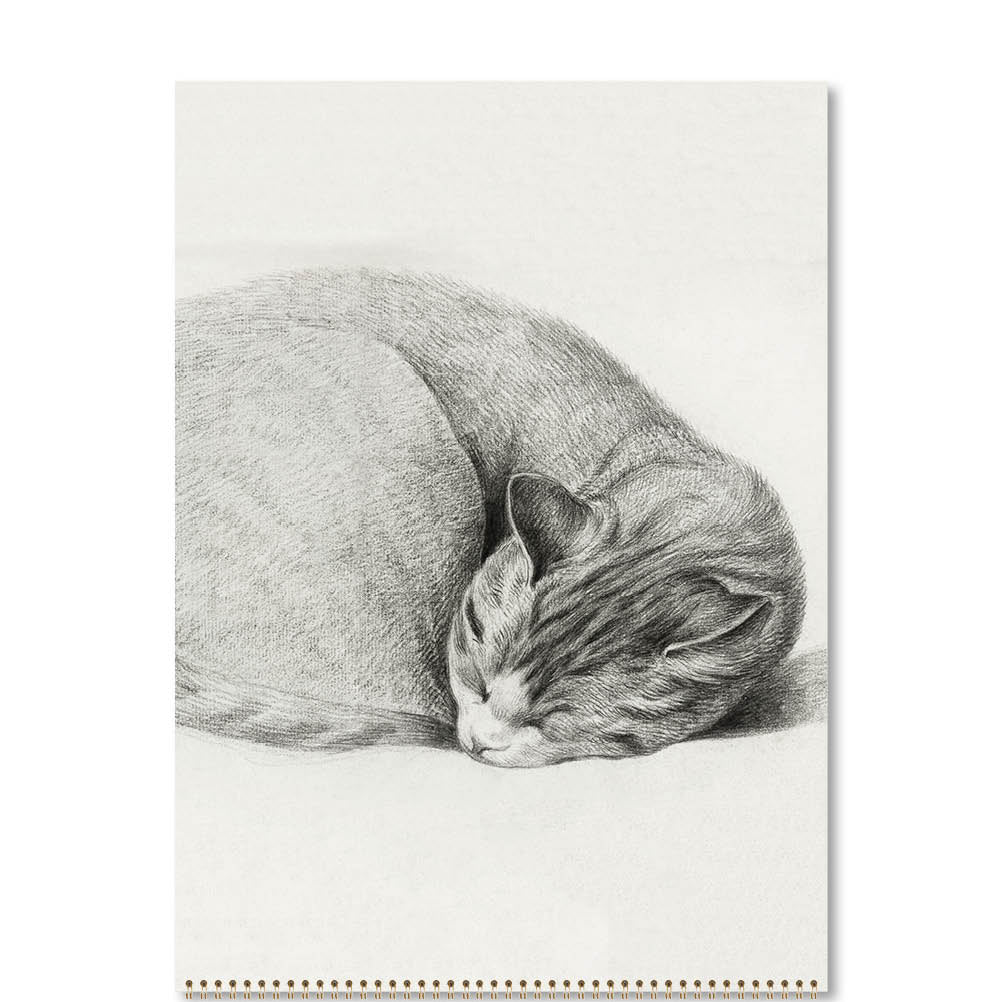 2026 Cat Drawings - Deluxe Wall Calendar