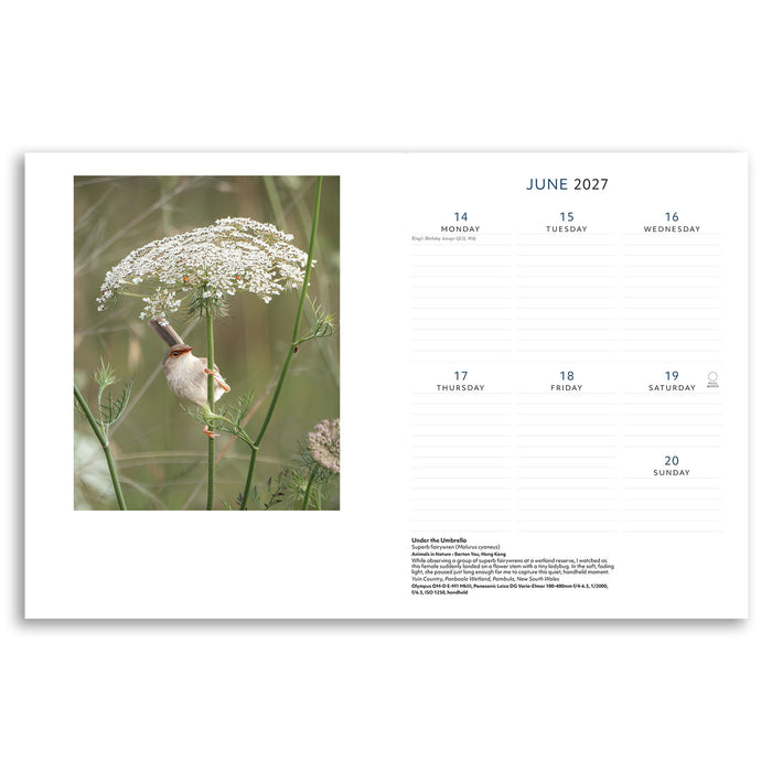 Australian Geographic Nature Photographer of the Year Diary 2027 June weekly spread