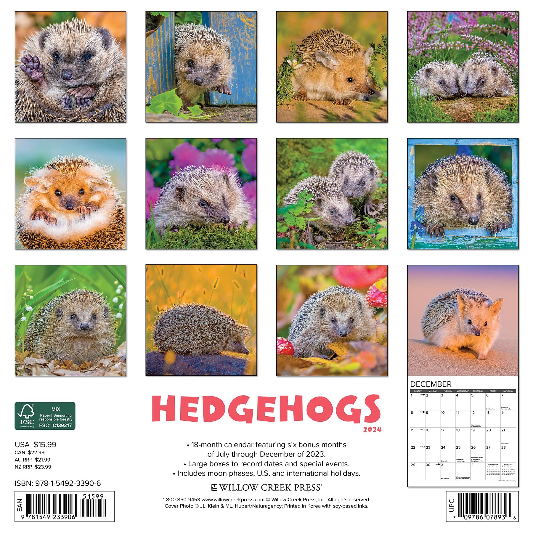 2024 Hedgehogs (by Willow Creek) - Square Wall Calendar
