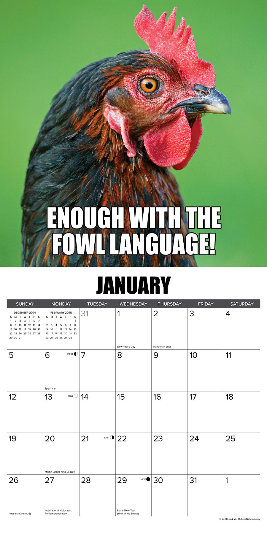 2025 No Clucks Given - Square Wall Calendar