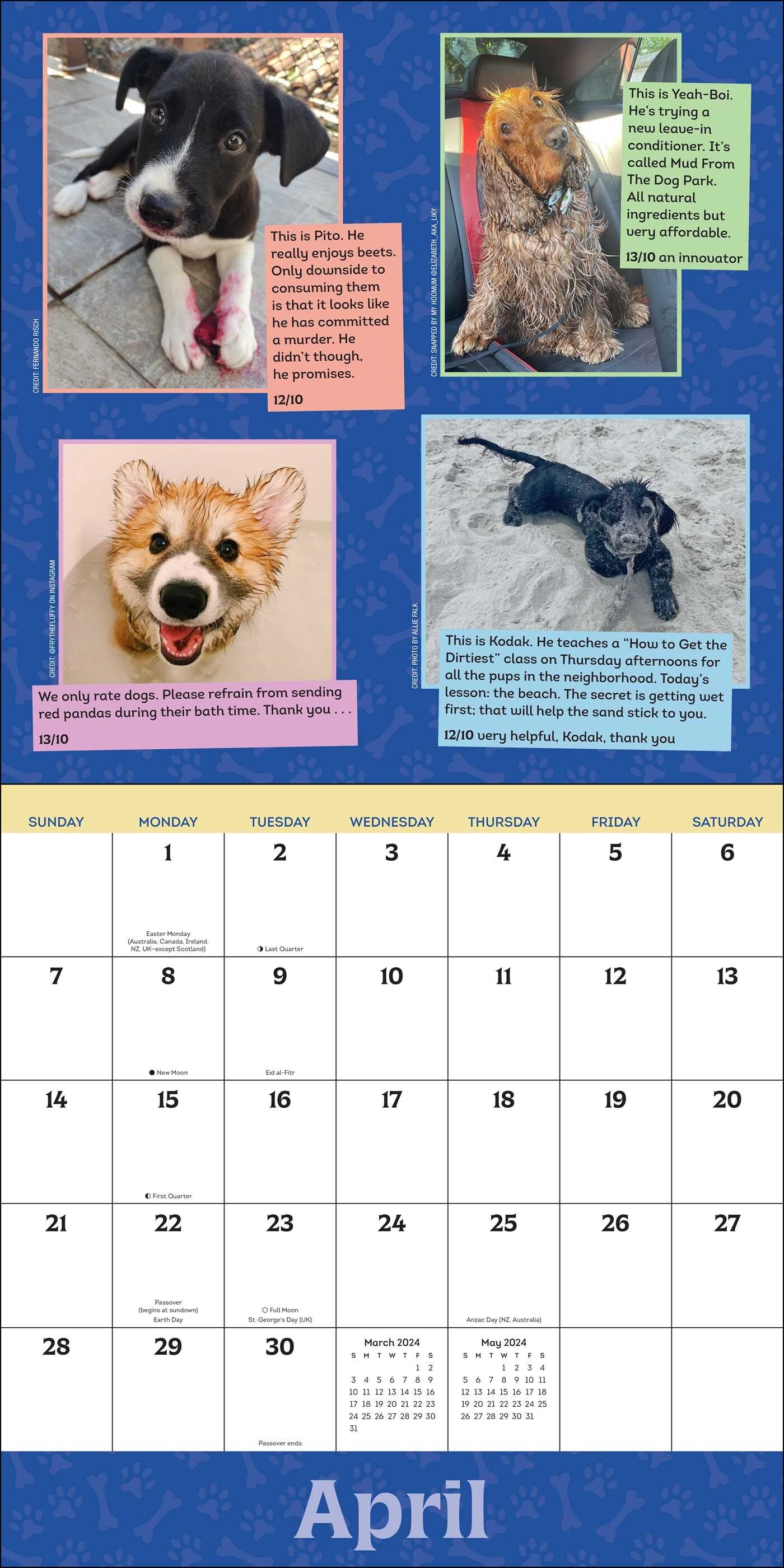 2024 We Rate Dogs - Square Wall Calendar  SOLD OUT