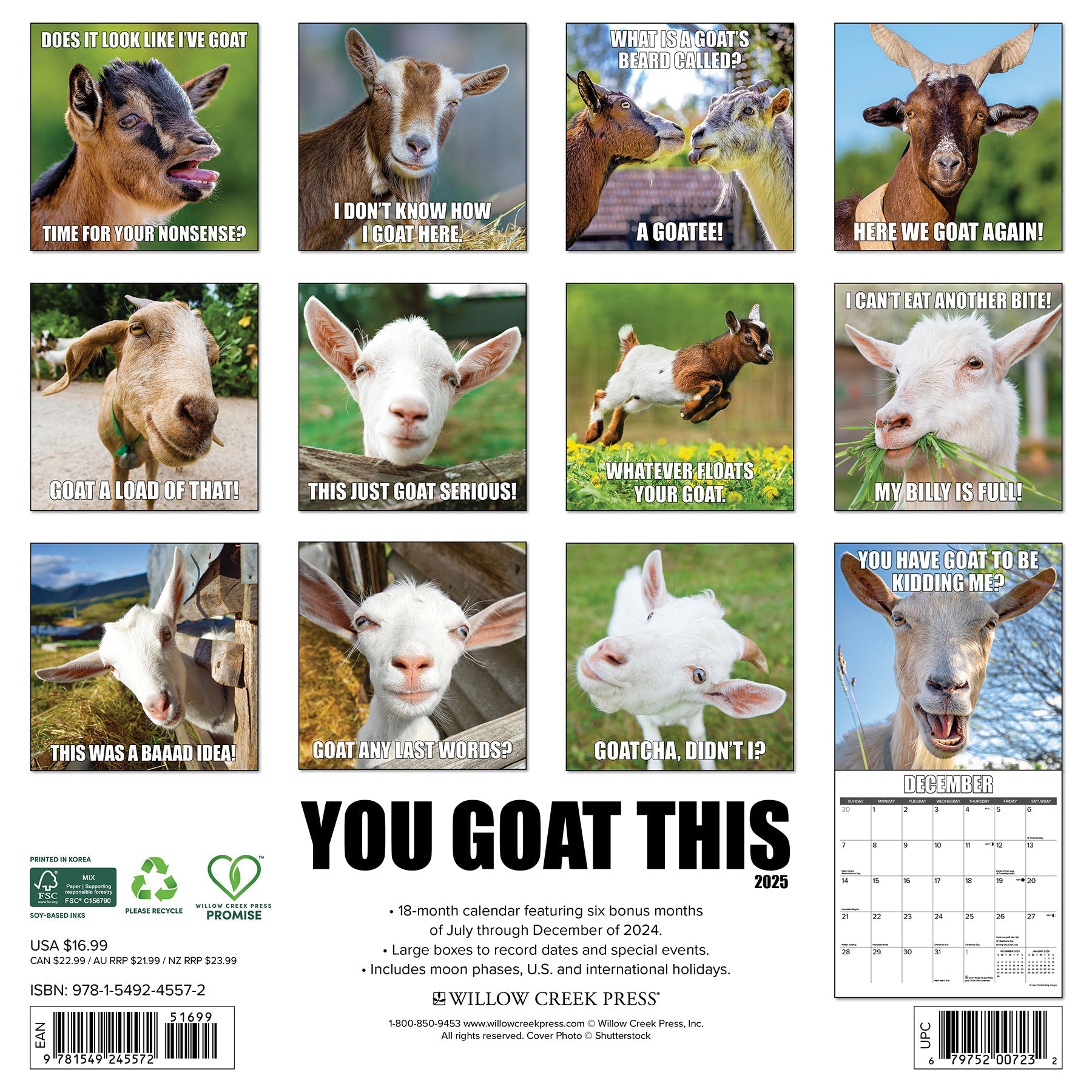 2025 You Goat This - Square Wall Calendar