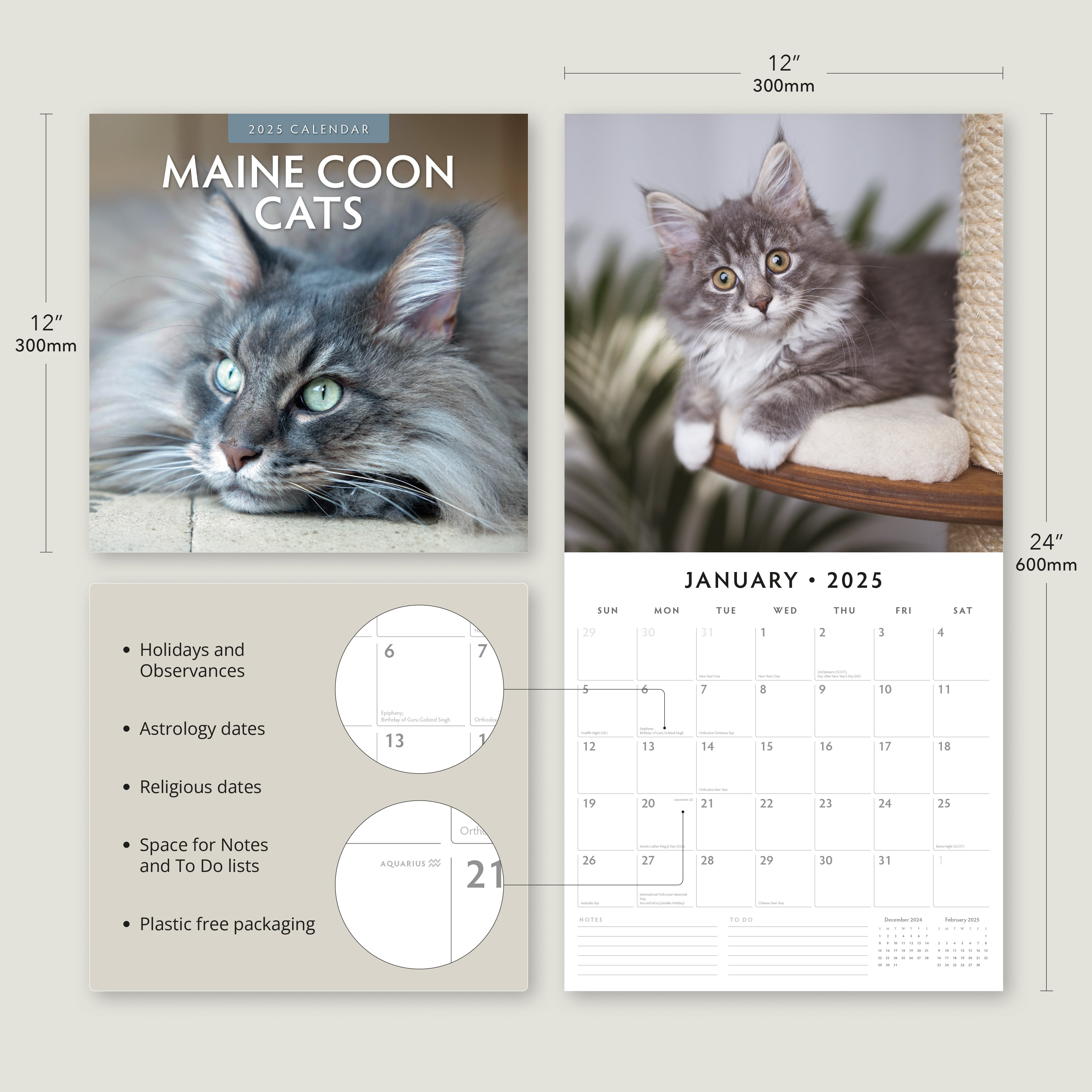 2025 Maine Coon Cats - Square Wall Calendar