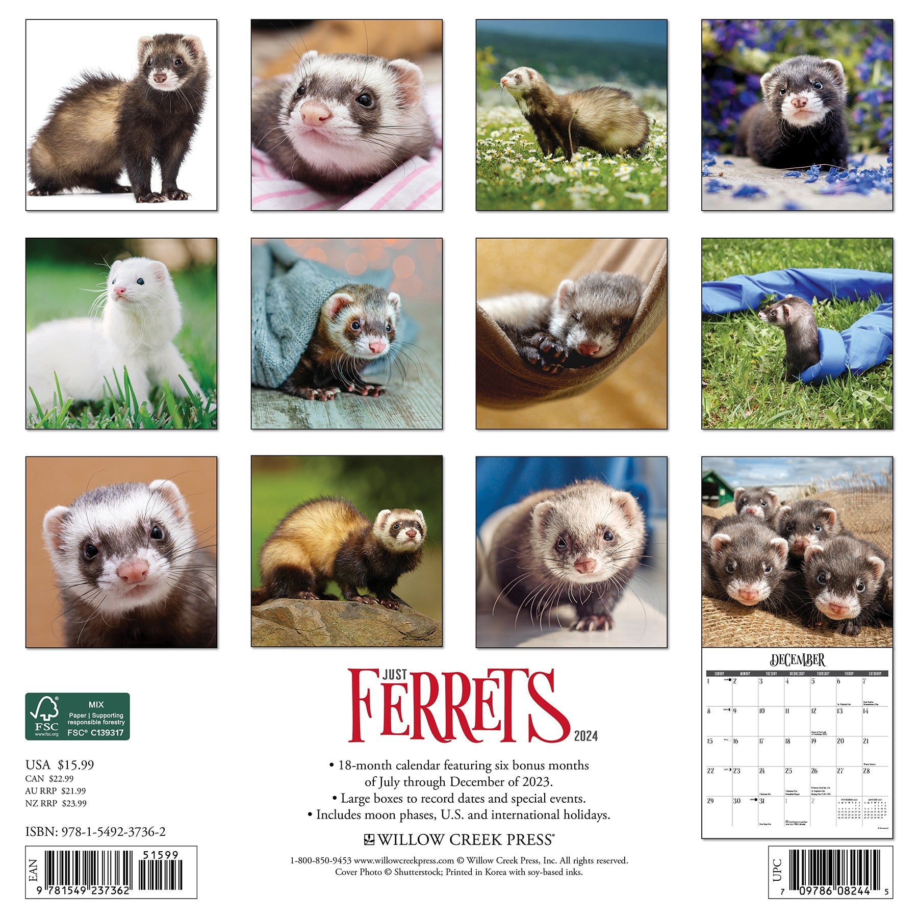 2024 Ferrets - Square Wall Calendar