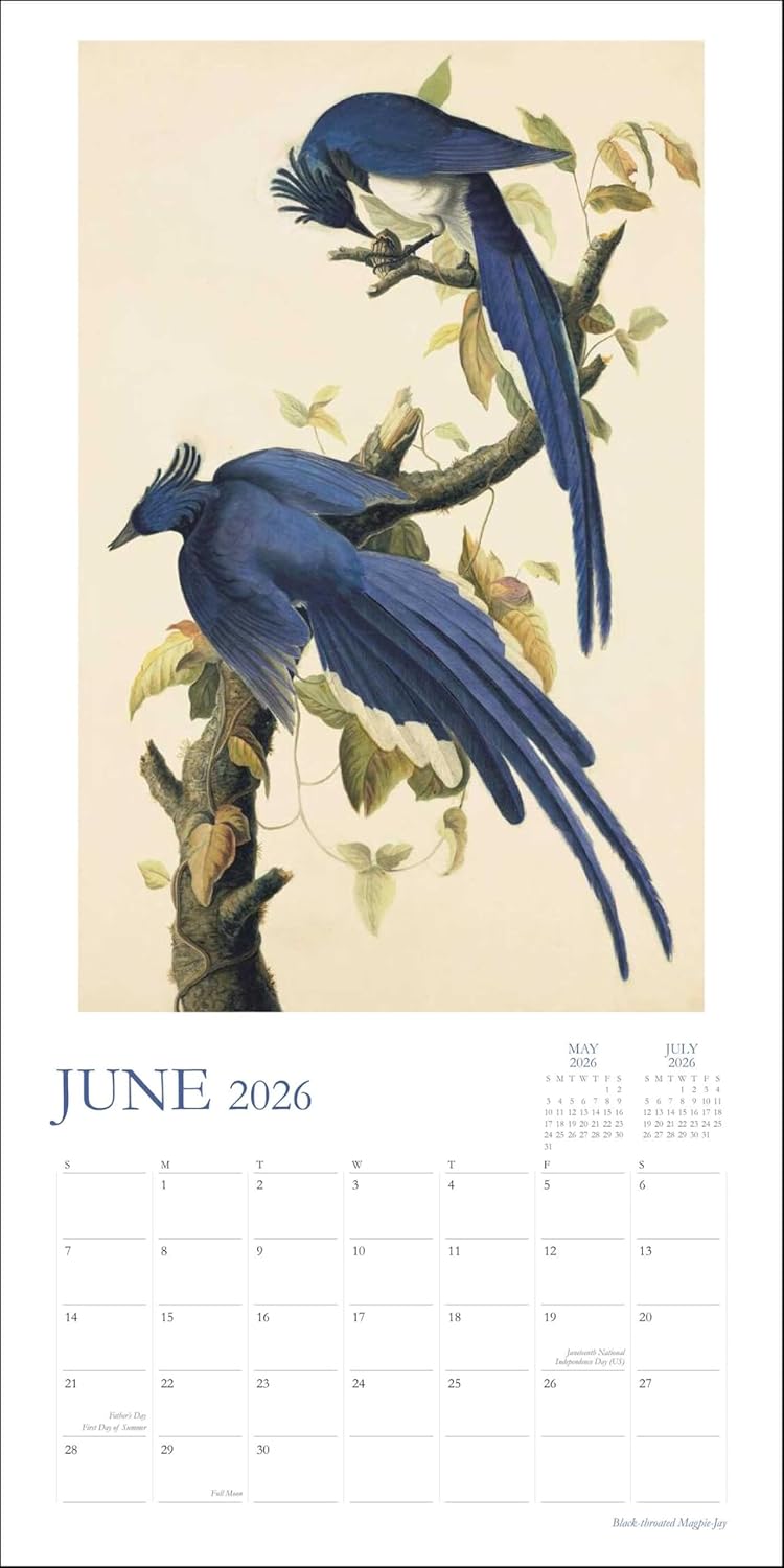 2026 Audubon's Watercolors - Square Wall Calendar