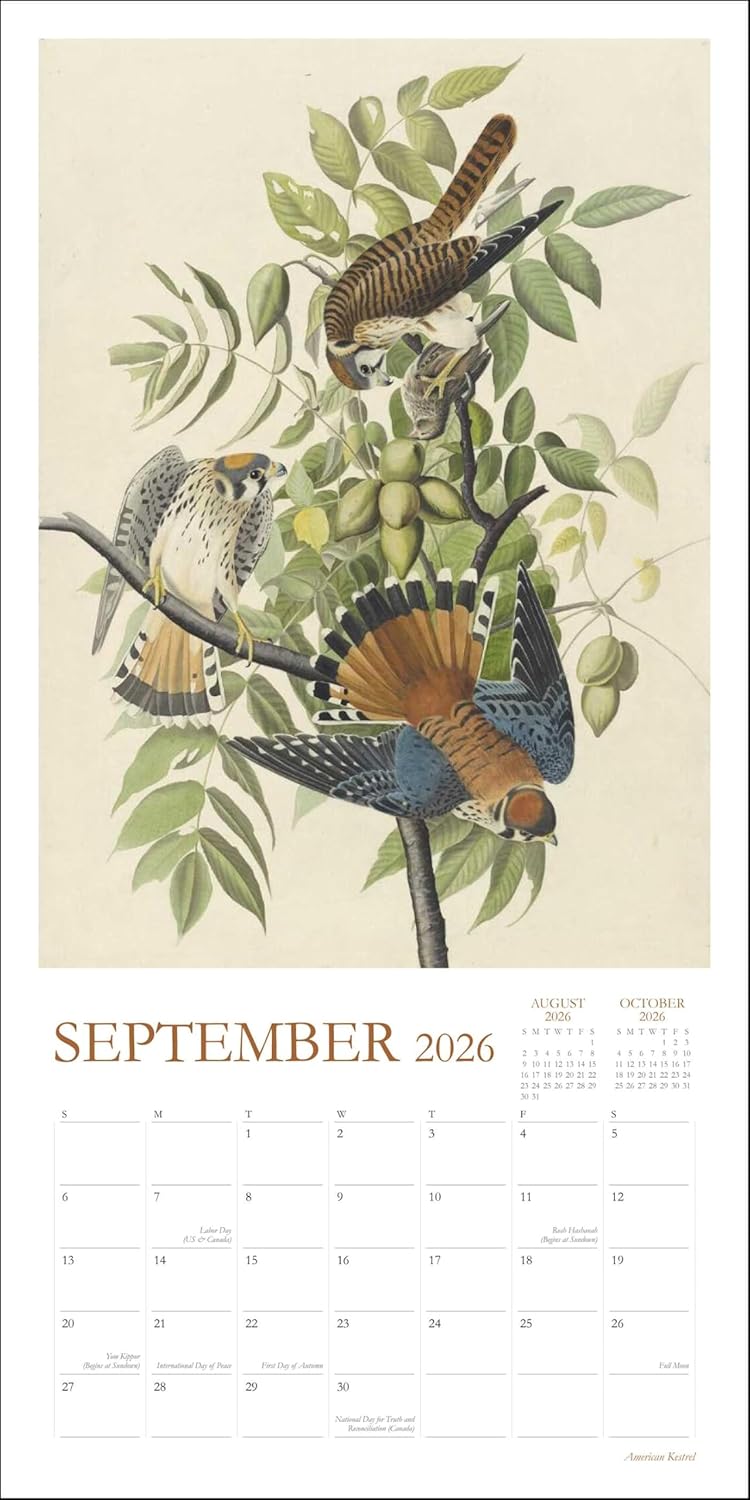 2026 Audubon's Watercolors - Square Wall Calendar
