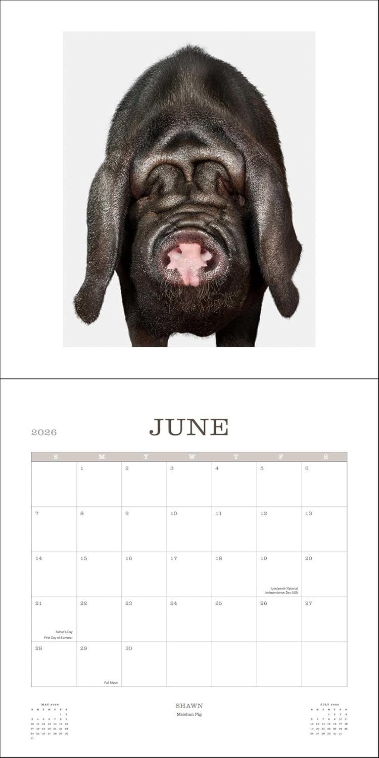 2026 Farm Life - Square Wall Calendar