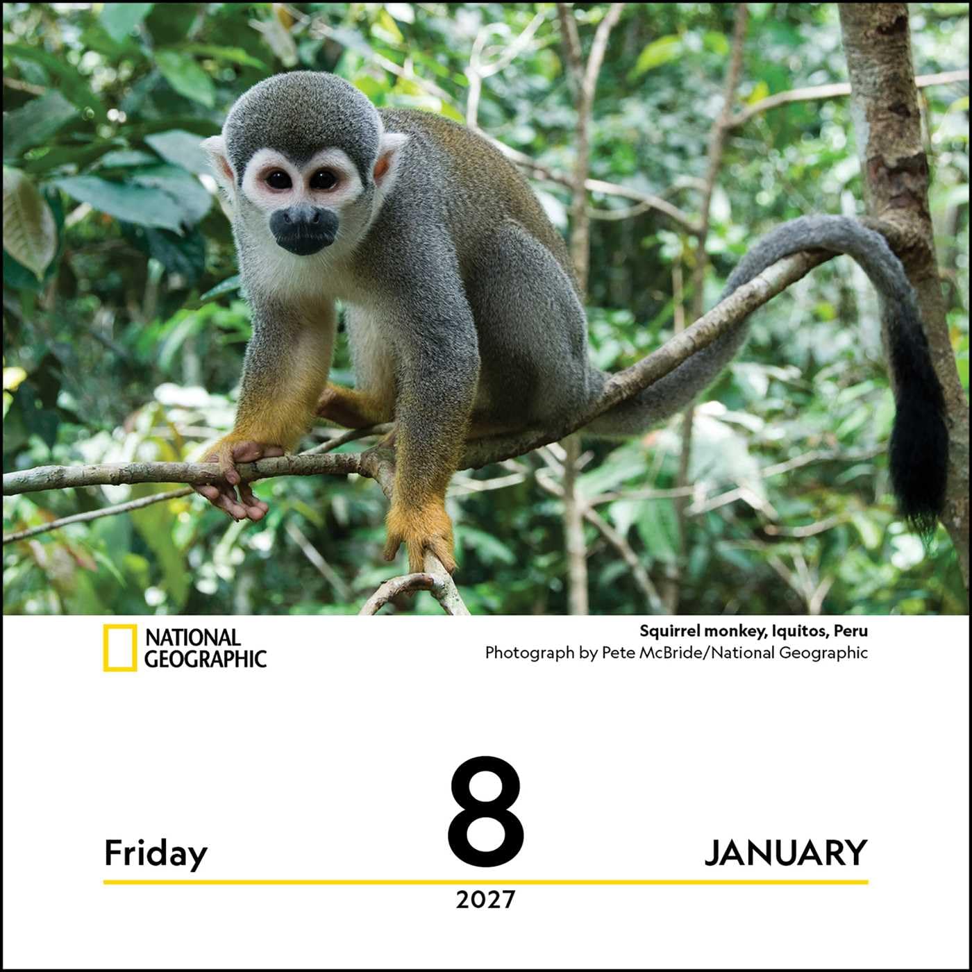 2027 Nature: Nat Geo - Daily Boxed Page-A-Day Calendar